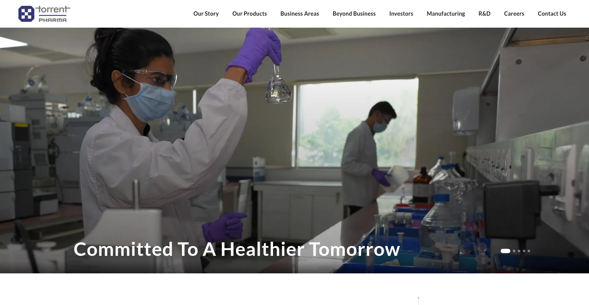 Website screenshot of Torrentpharma.com