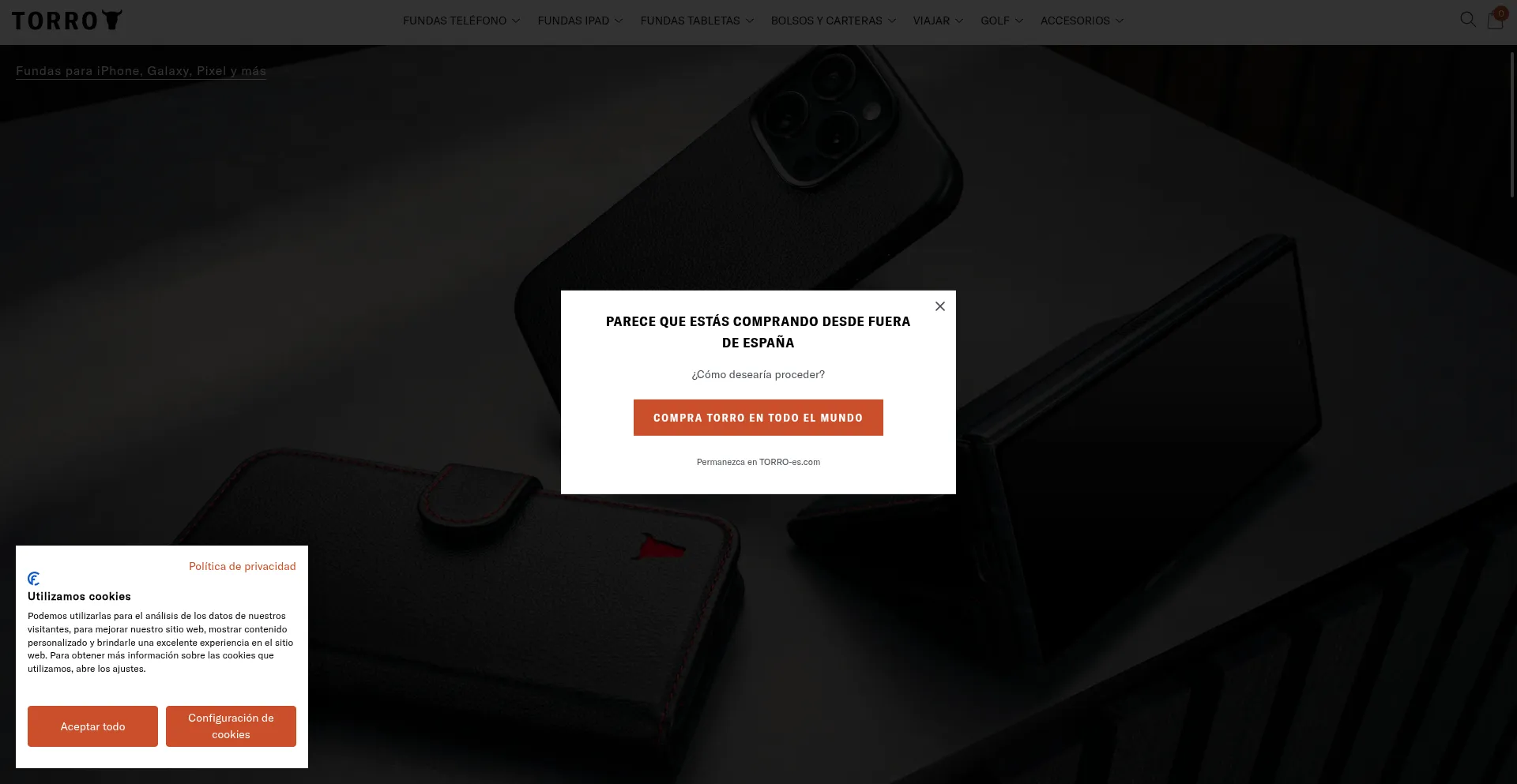 Website screenshot of Torro-es.com