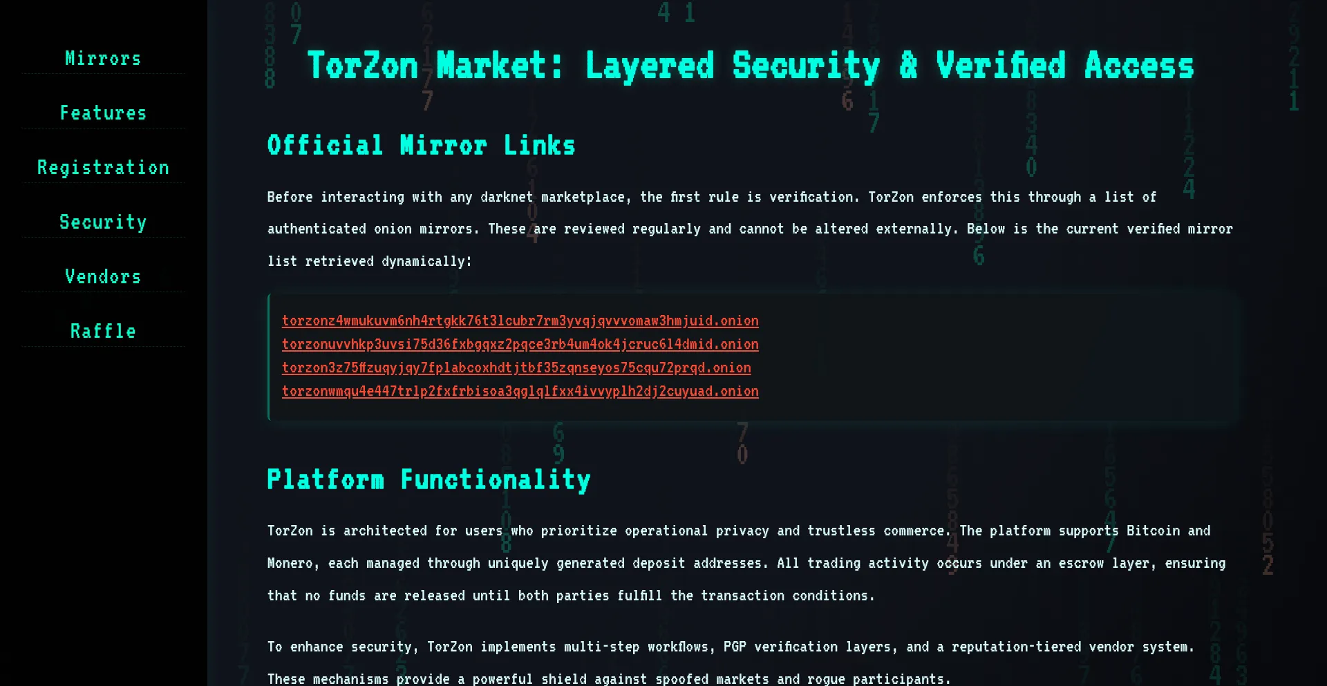 Website screenshot of Torzon.biz