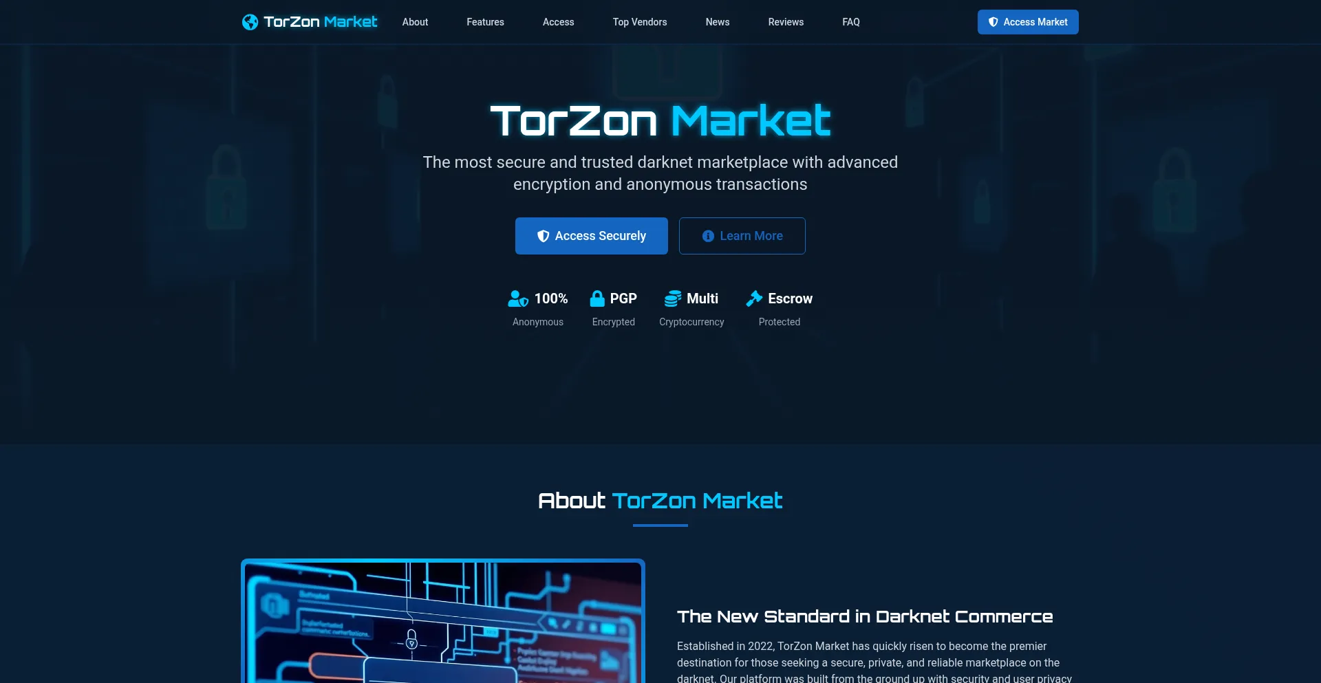 Website screenshot of Torzon.market