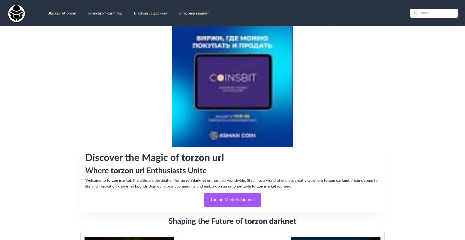Website screenshot of Torzon-market.net
