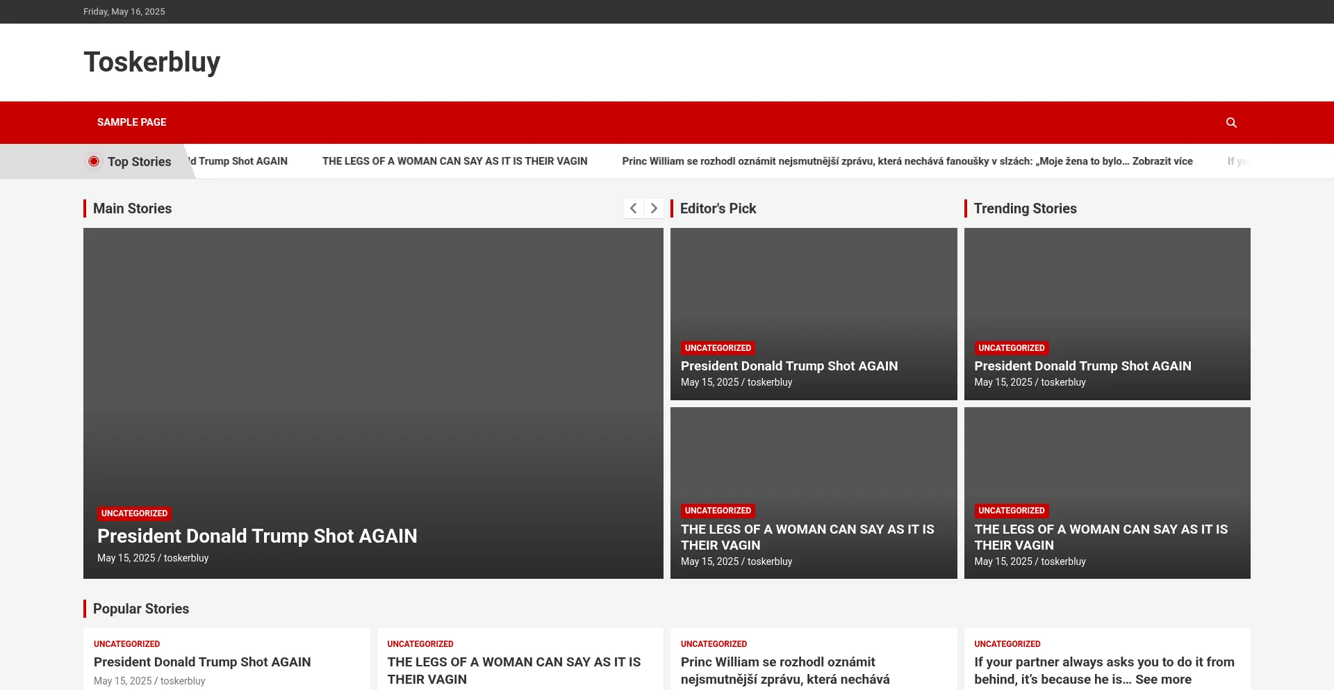 Website screenshot of Toskerbluy.store