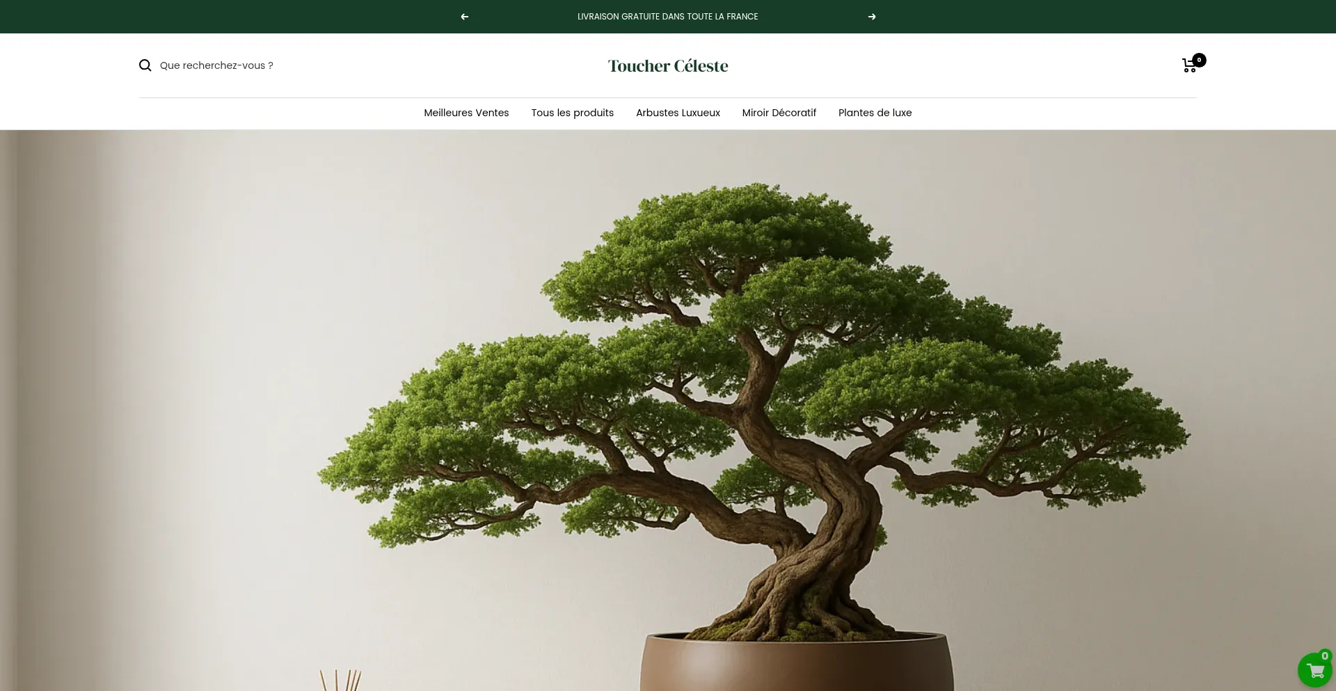 Website screenshot of Toucherceleste.store