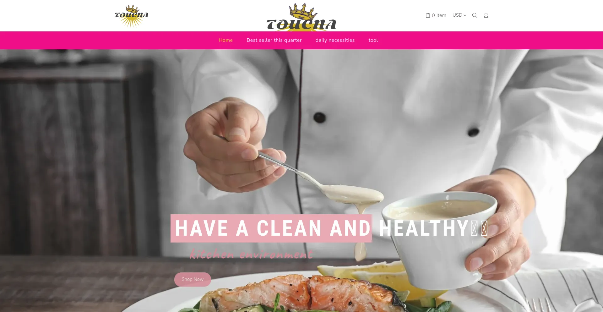 Website screenshot of Toucna.com