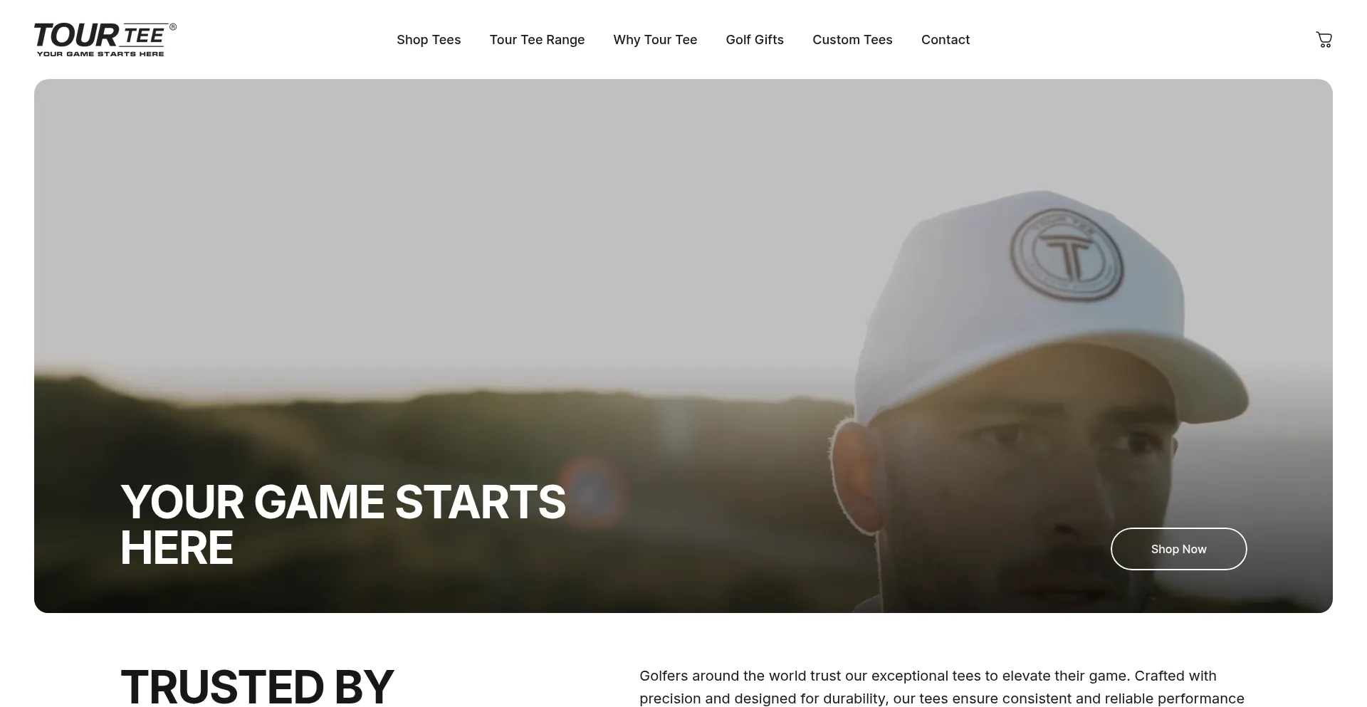 Website screenshot of Tourtee.com