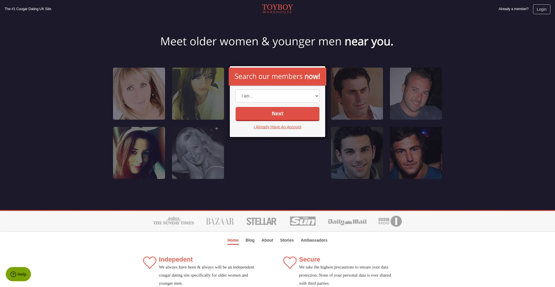 Toyboywarehouse.com Screenshot