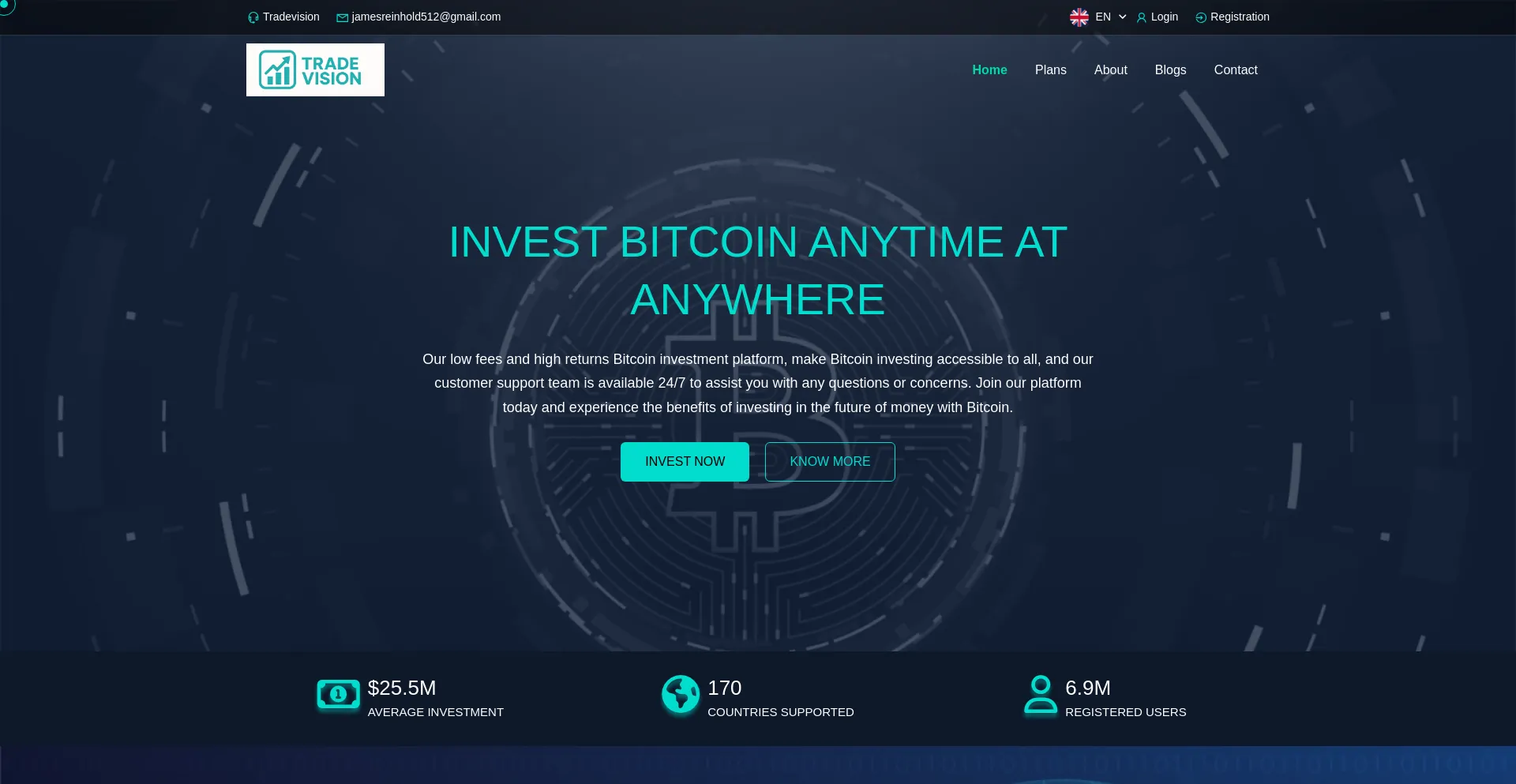 Website screenshot of Tradevision.online