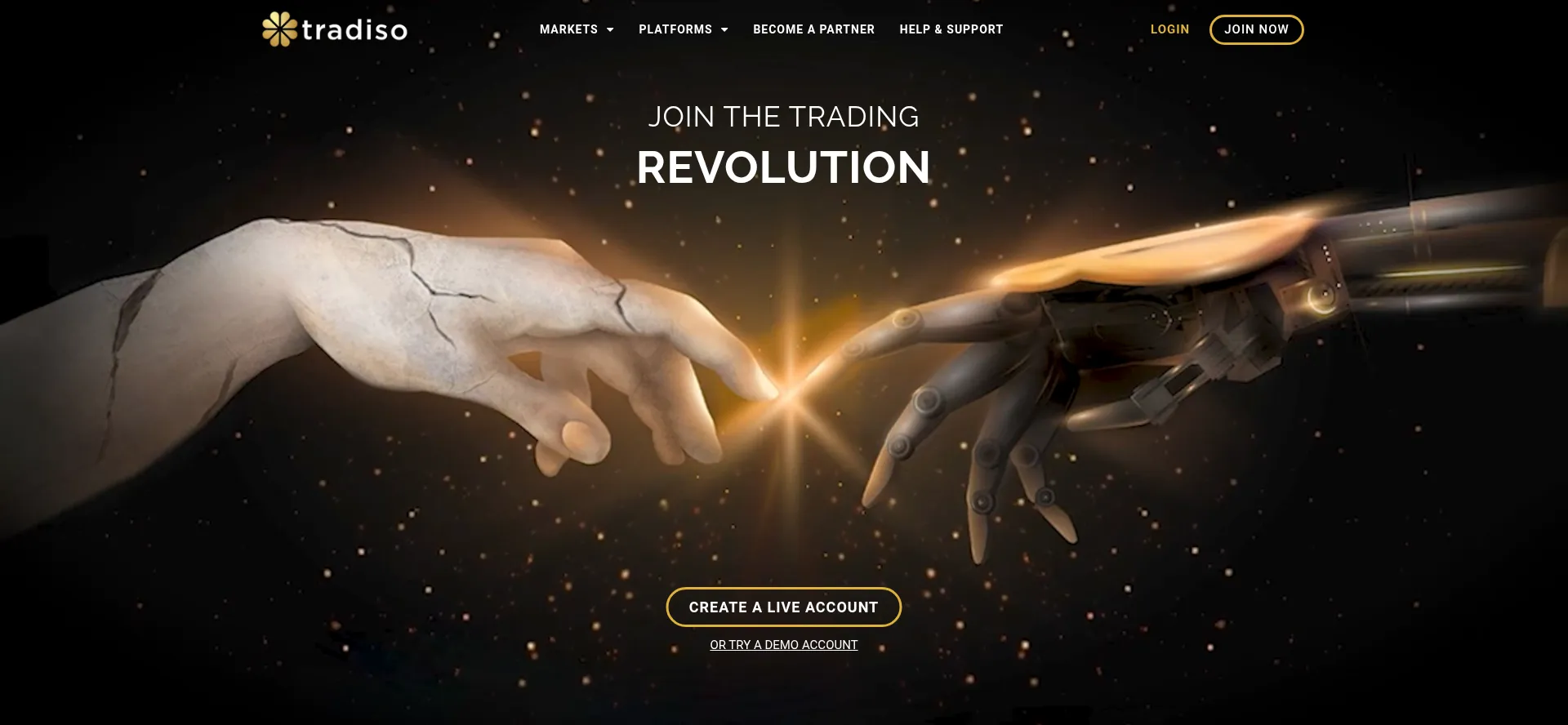 Website screenshot of Tradiso.com