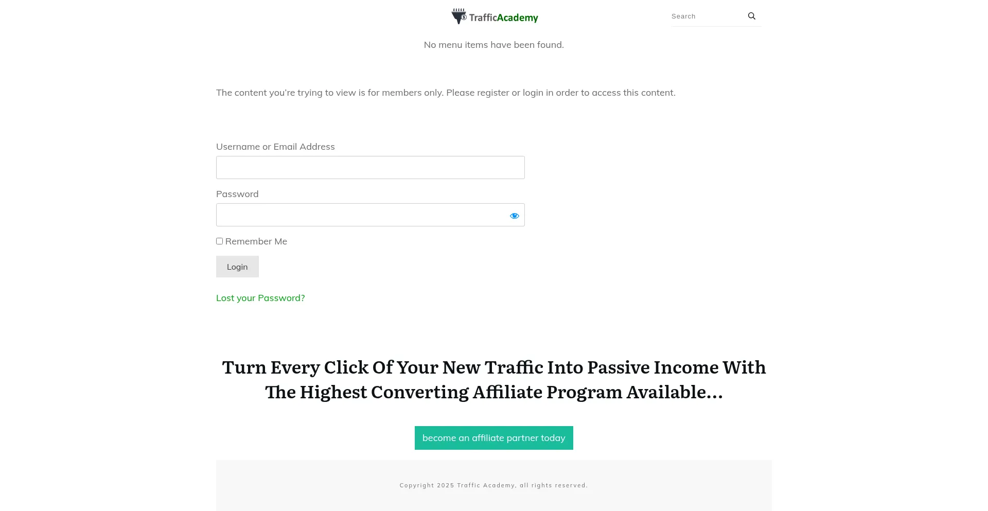 Website screenshot of Trafficacademy.biz