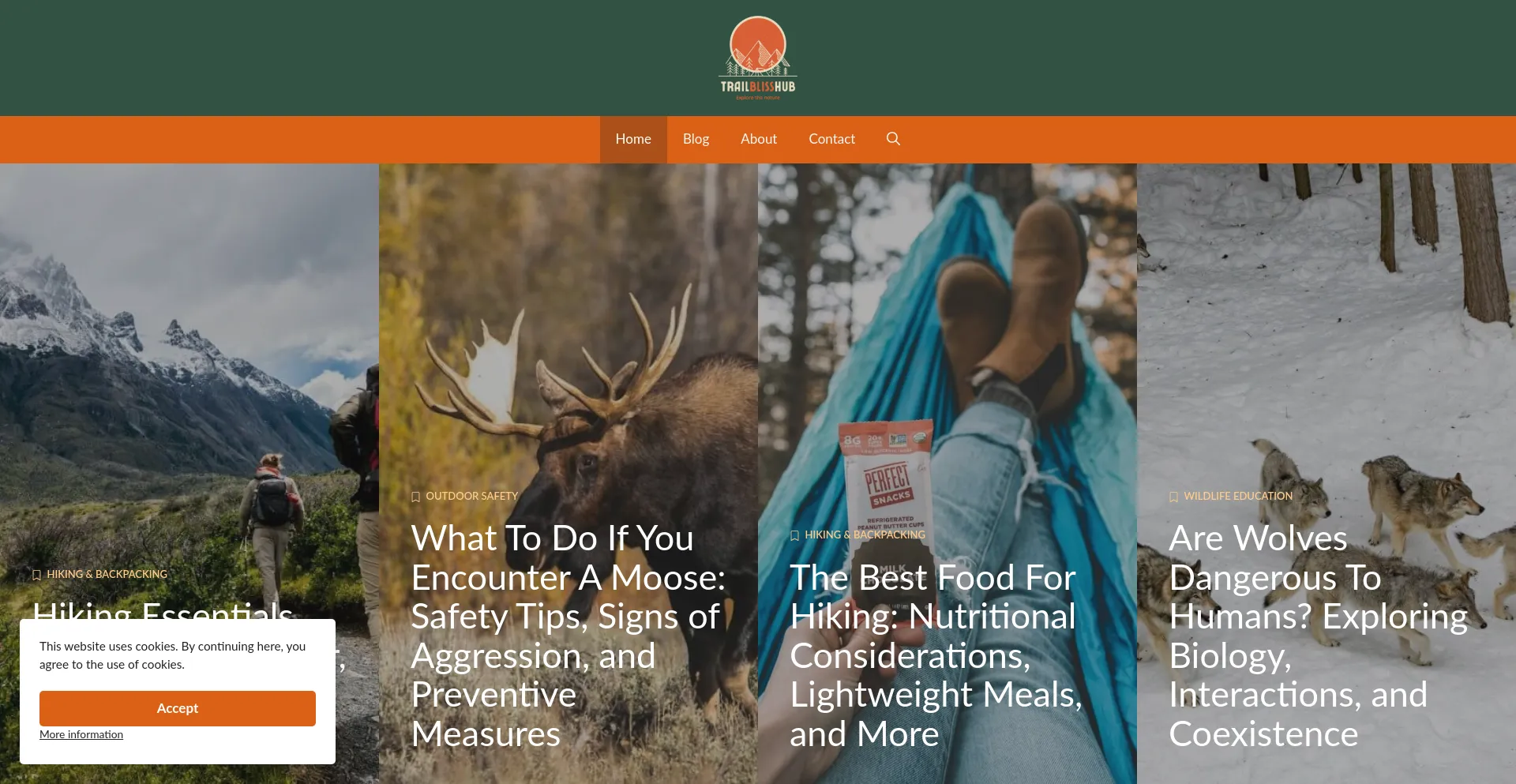 Website screenshot of Trailblisshub.com