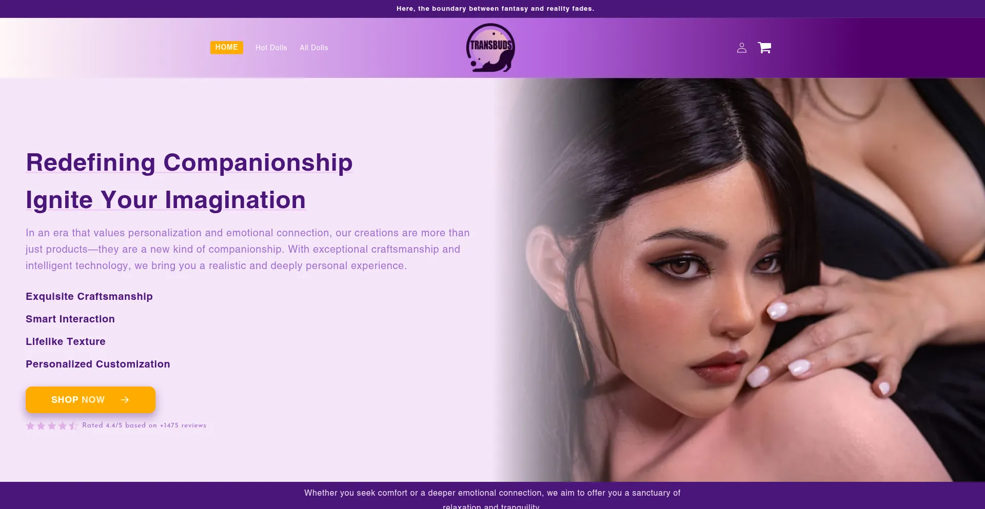 Website screenshot of Transbuds.net