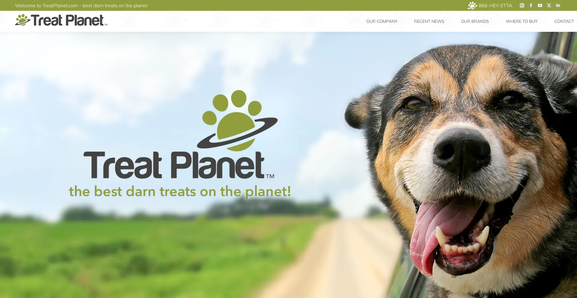 Is Treatplanet.com Safe?