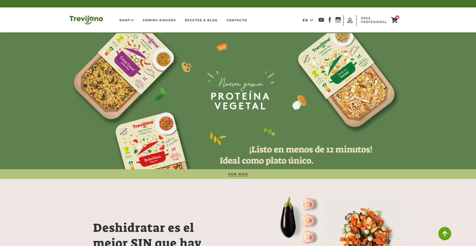 Trevijano.com