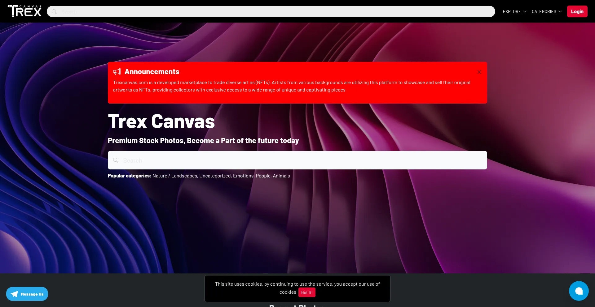 Website screenshot of Trexcanvas.info