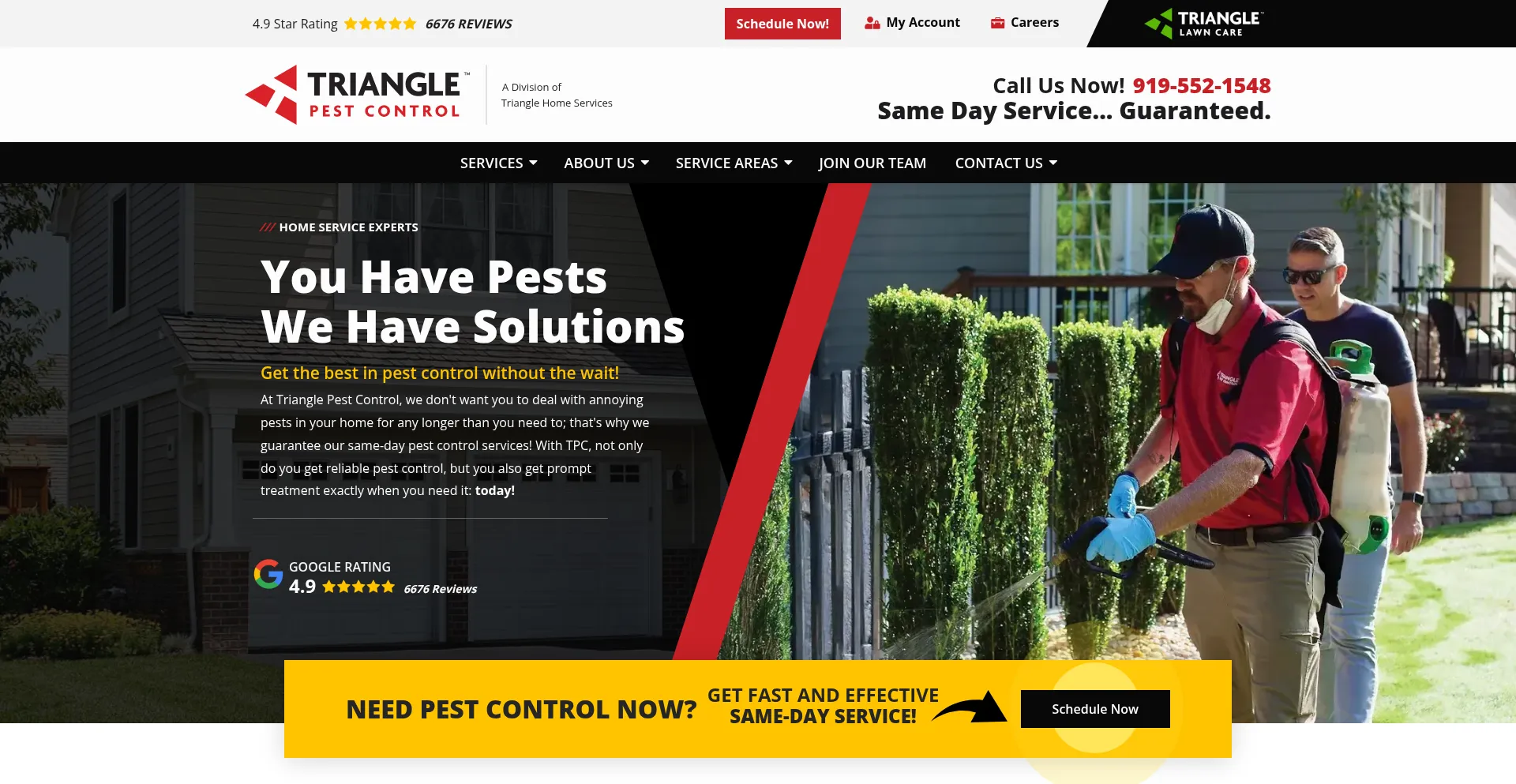 Trianglepest.com Screenshot