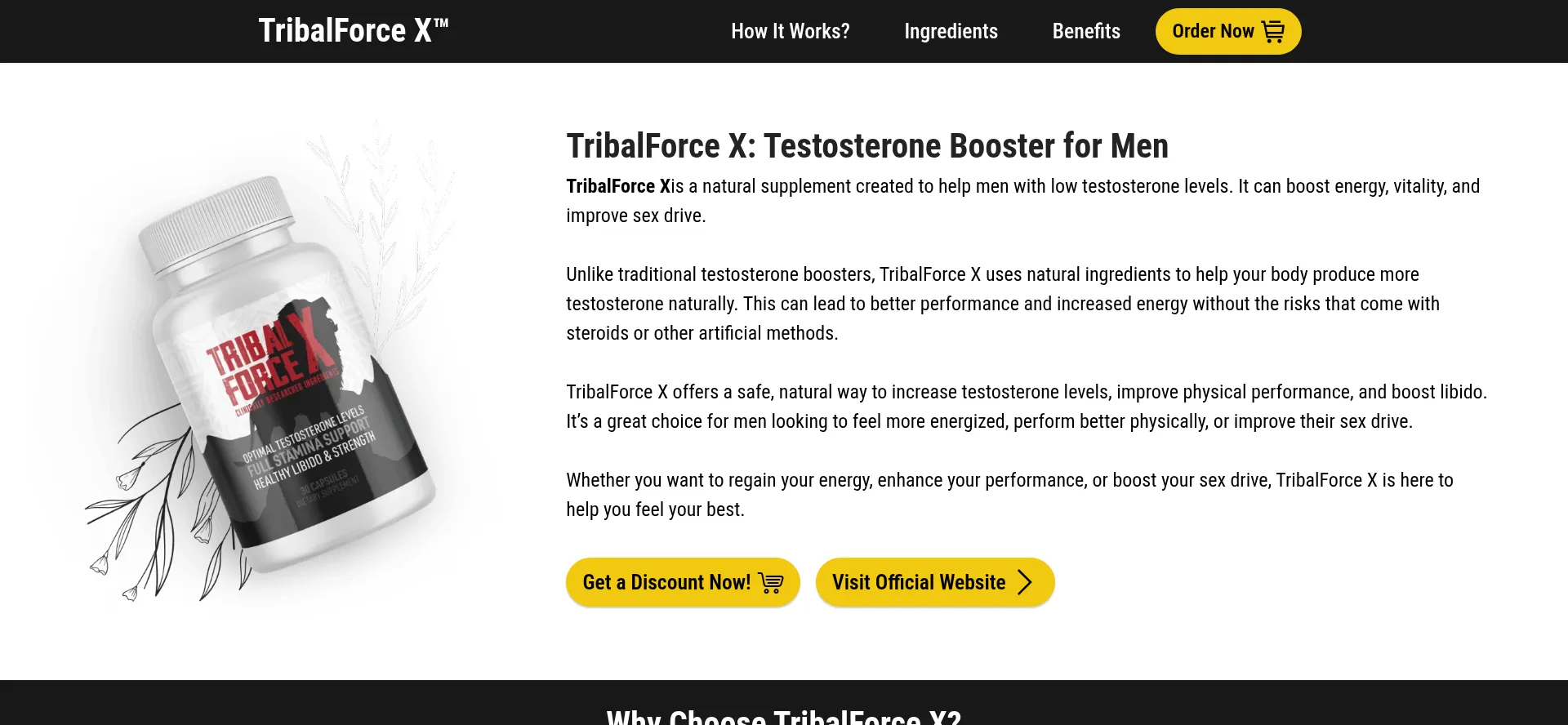 Website screenshot of Tribalforcex-web.com