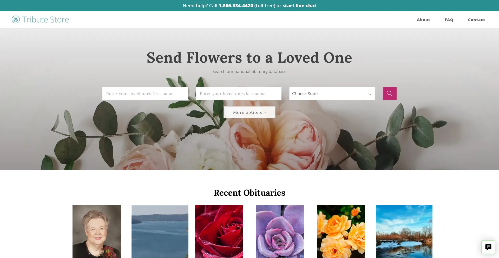 Is Tributestore.com Safe?