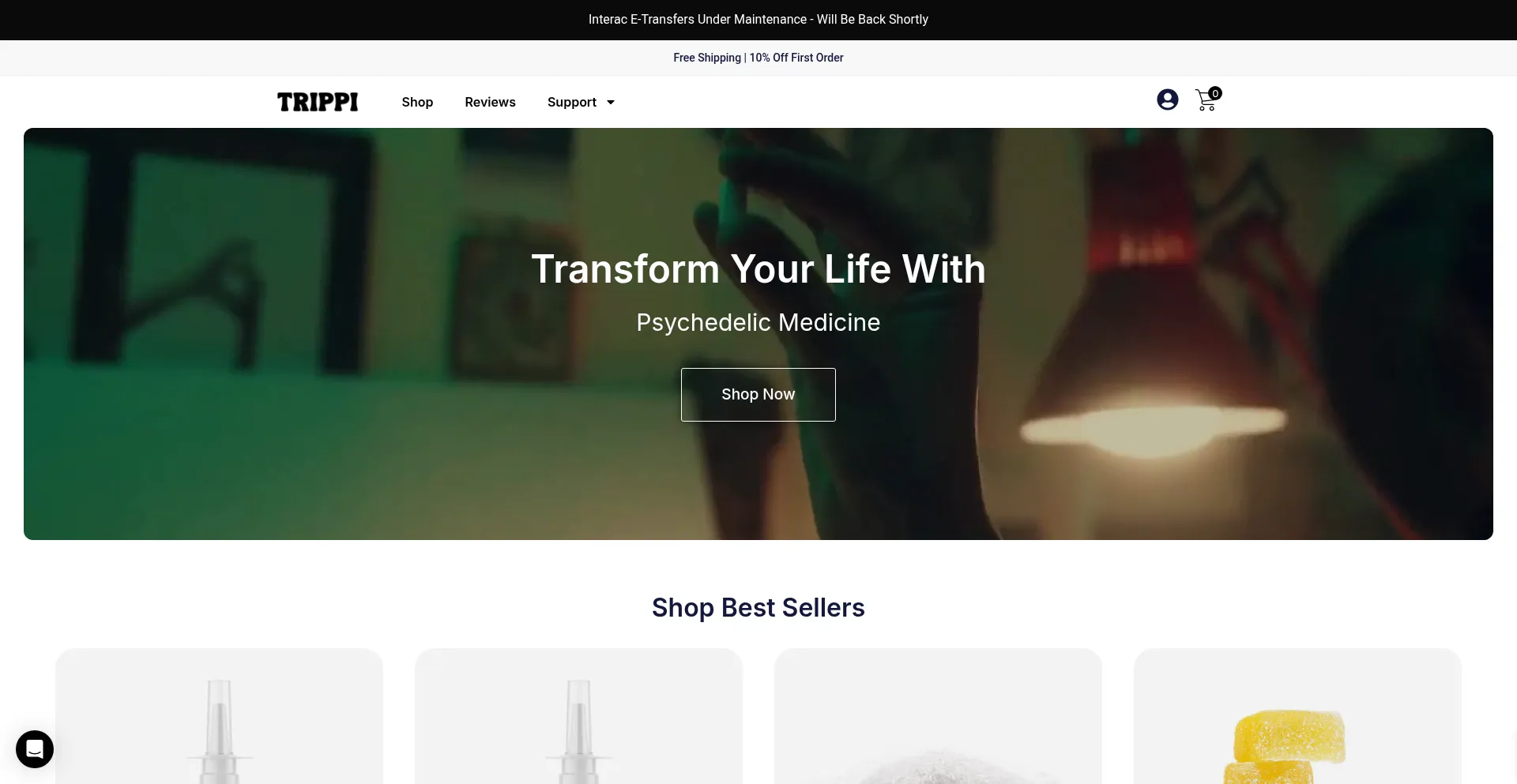 Website screenshot of Trippi.cc