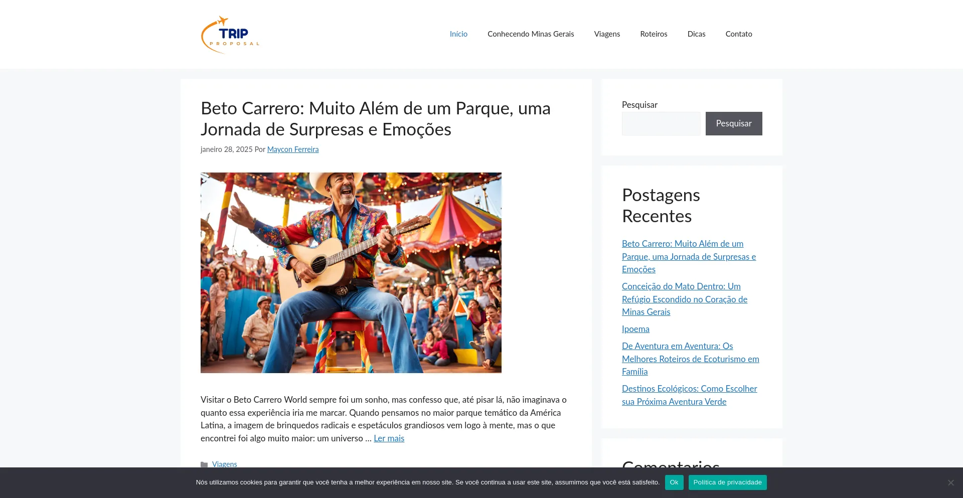 Website screenshot of Triproposal.com