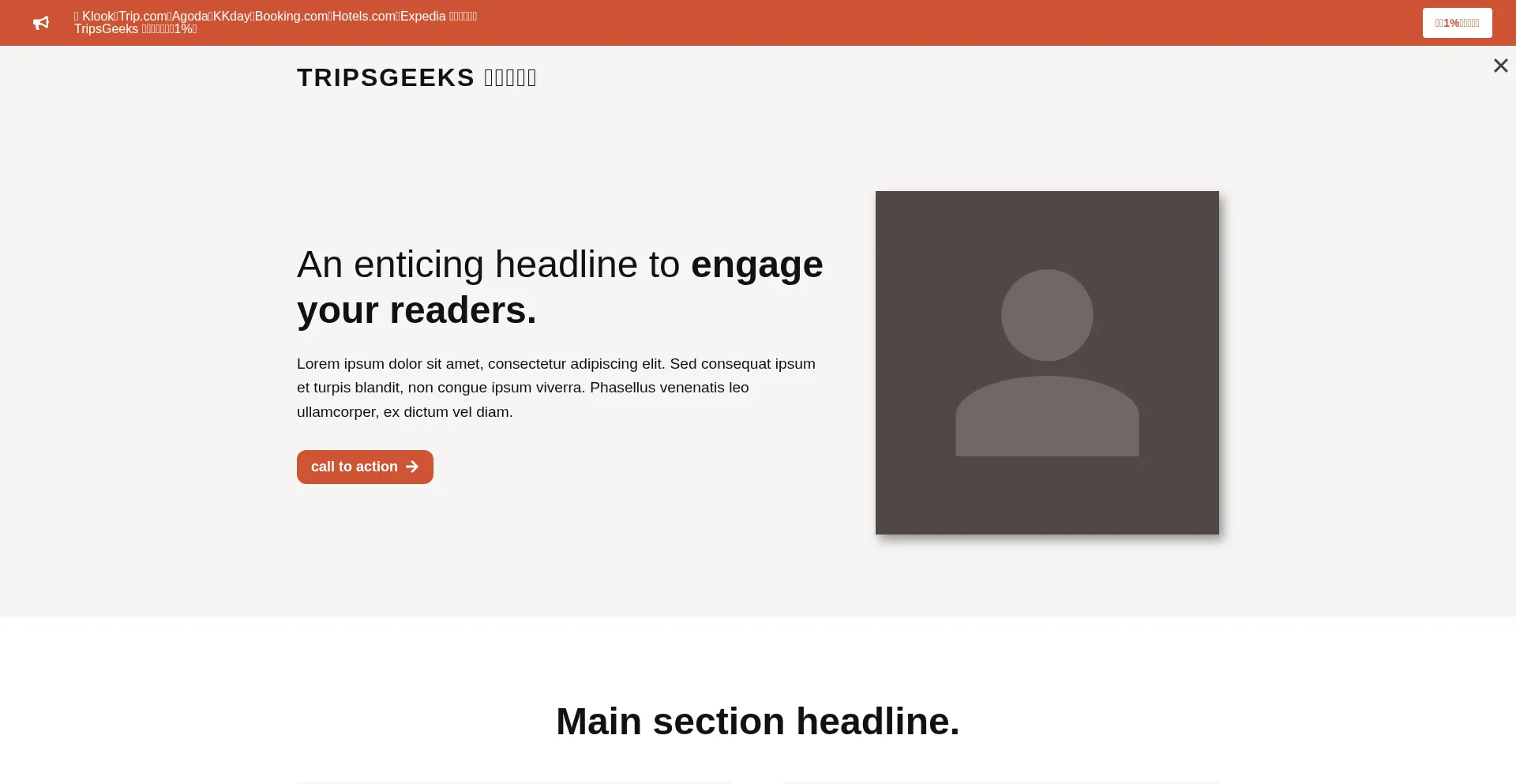 Website screenshot of Tripsgeeks.com