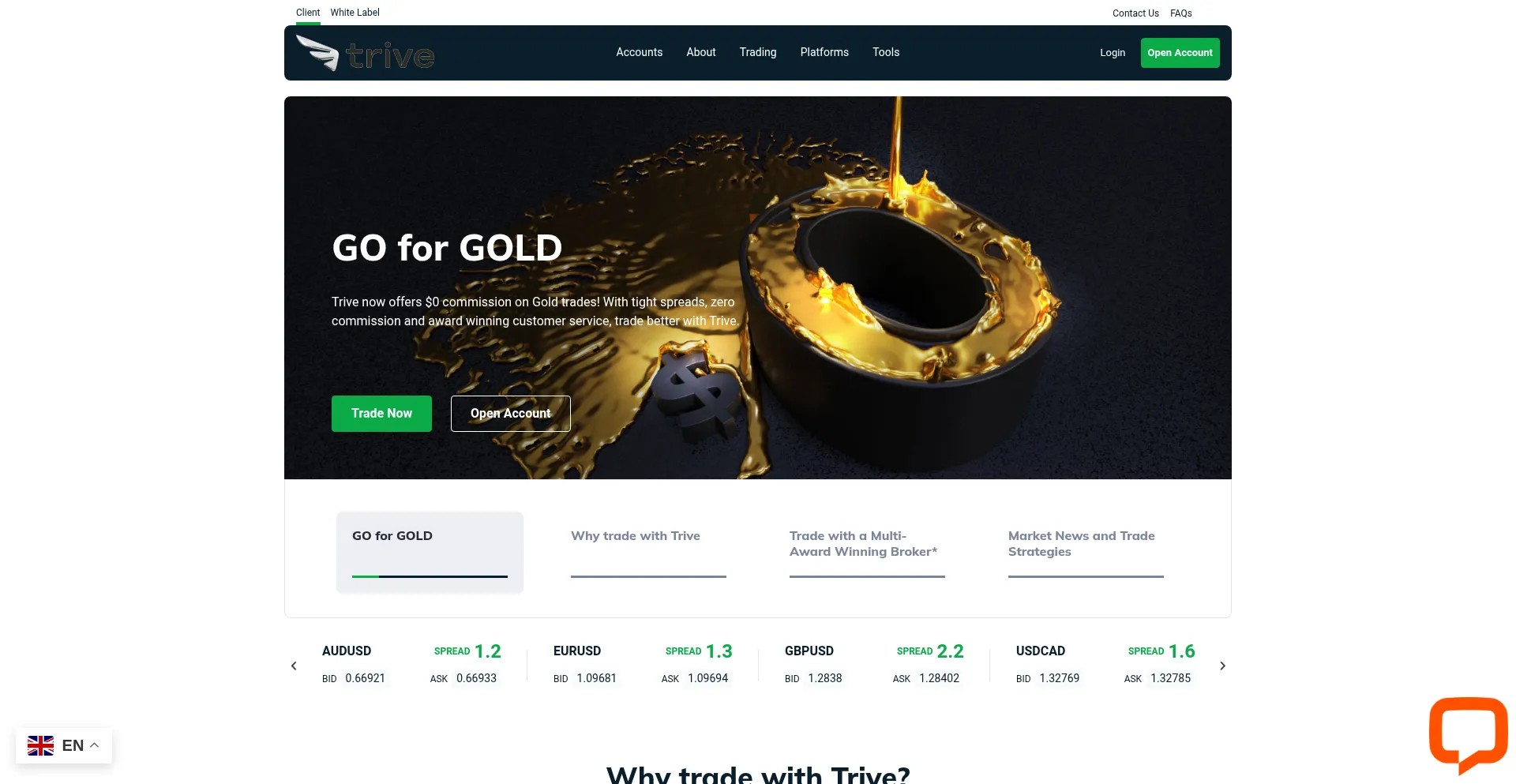 Website screenshot of Triverdom.com