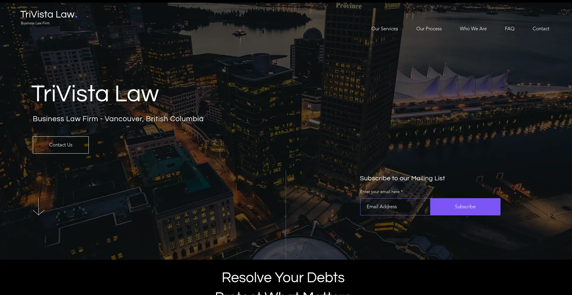 Website screenshot of Trivistalaw.com