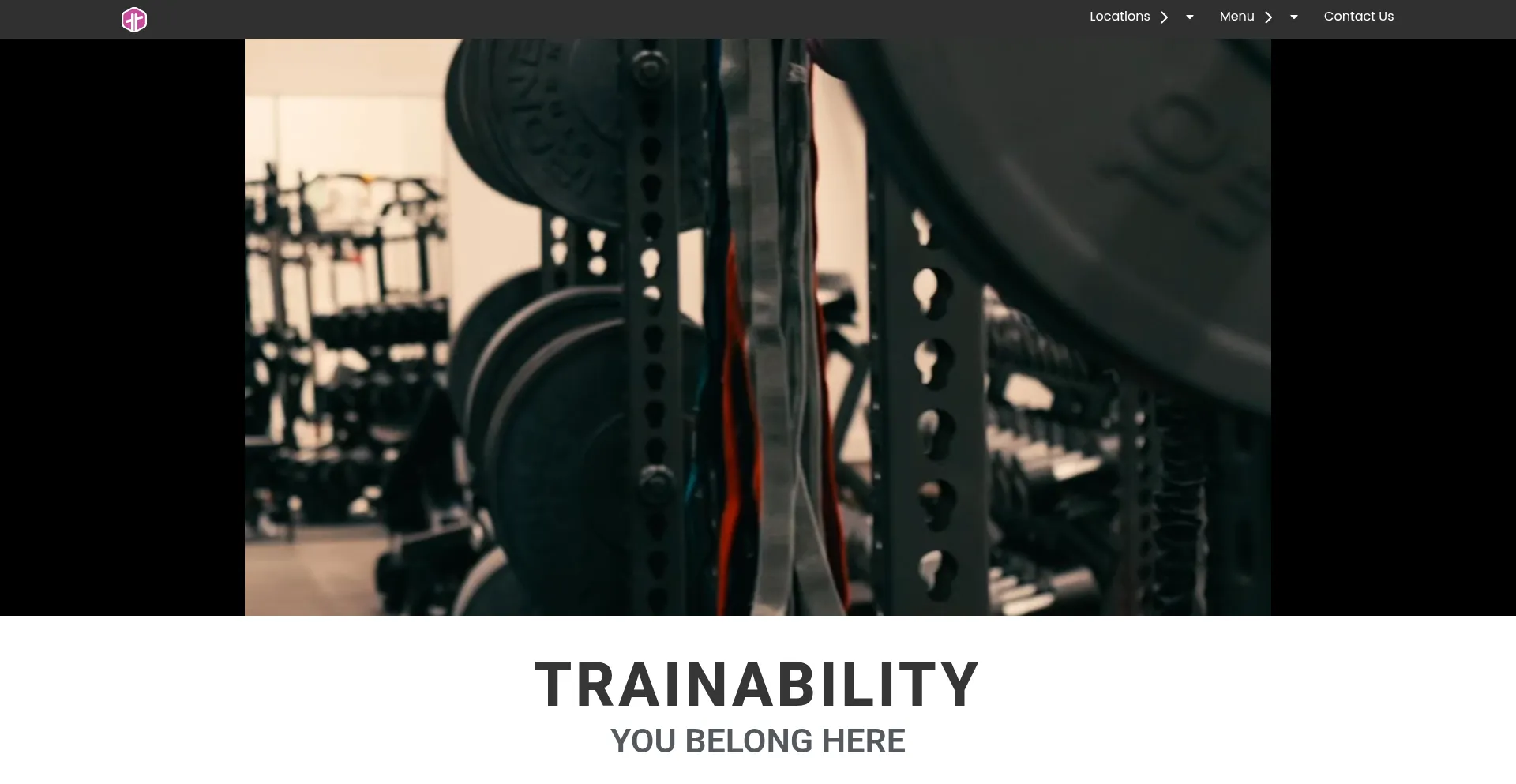 Website screenshot of Trnblt.com