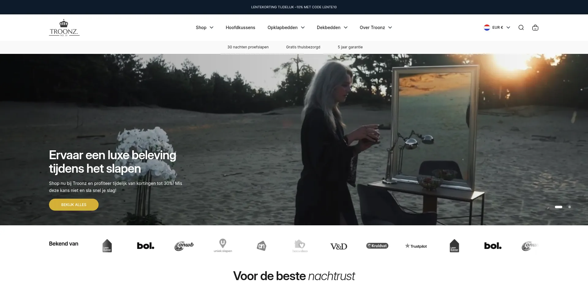 Website screenshot of Troonz.com