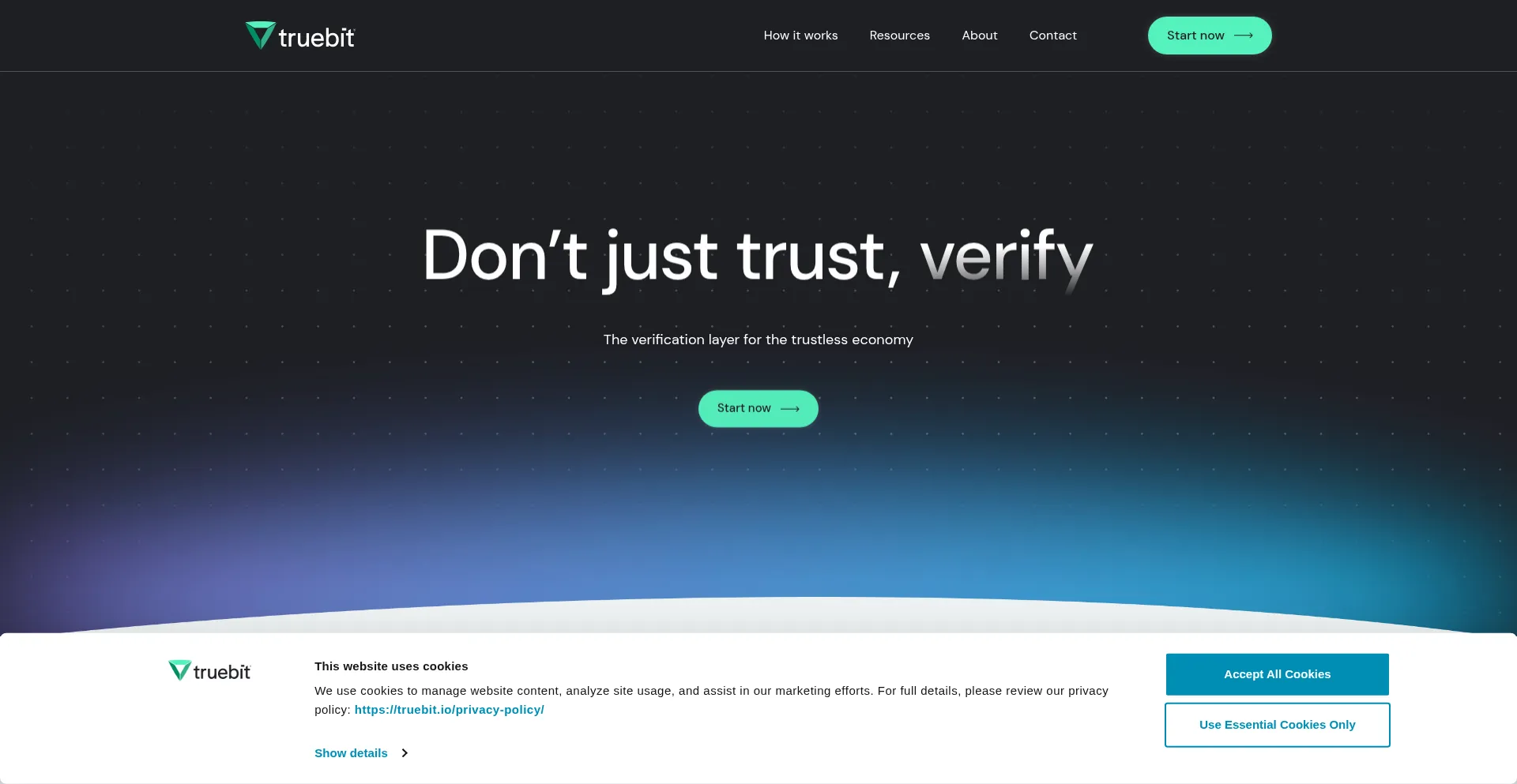 Website screenshot of Truebit.io