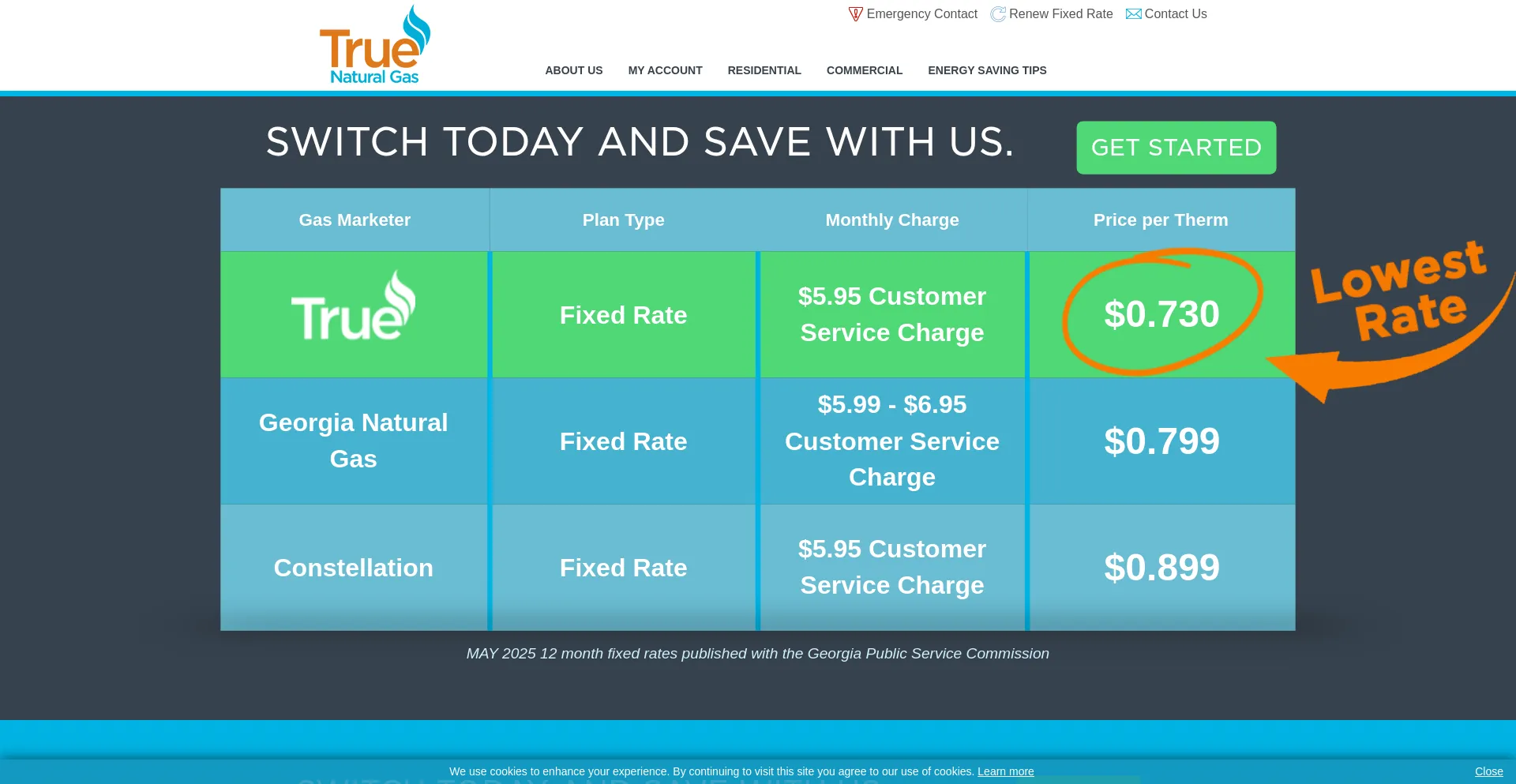Website screenshot of Truenaturalgas.com