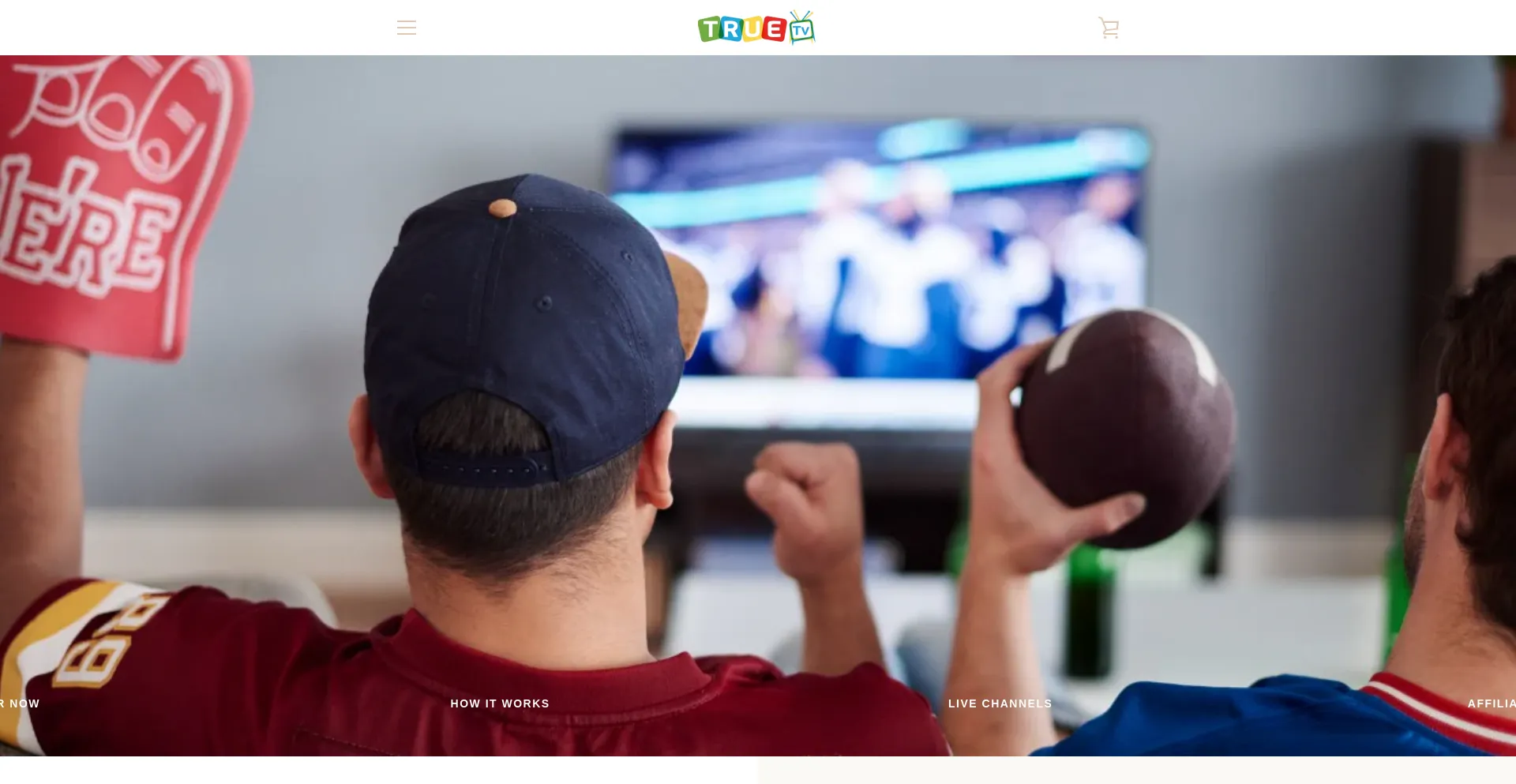 Website screenshot of Truetvgo.com
