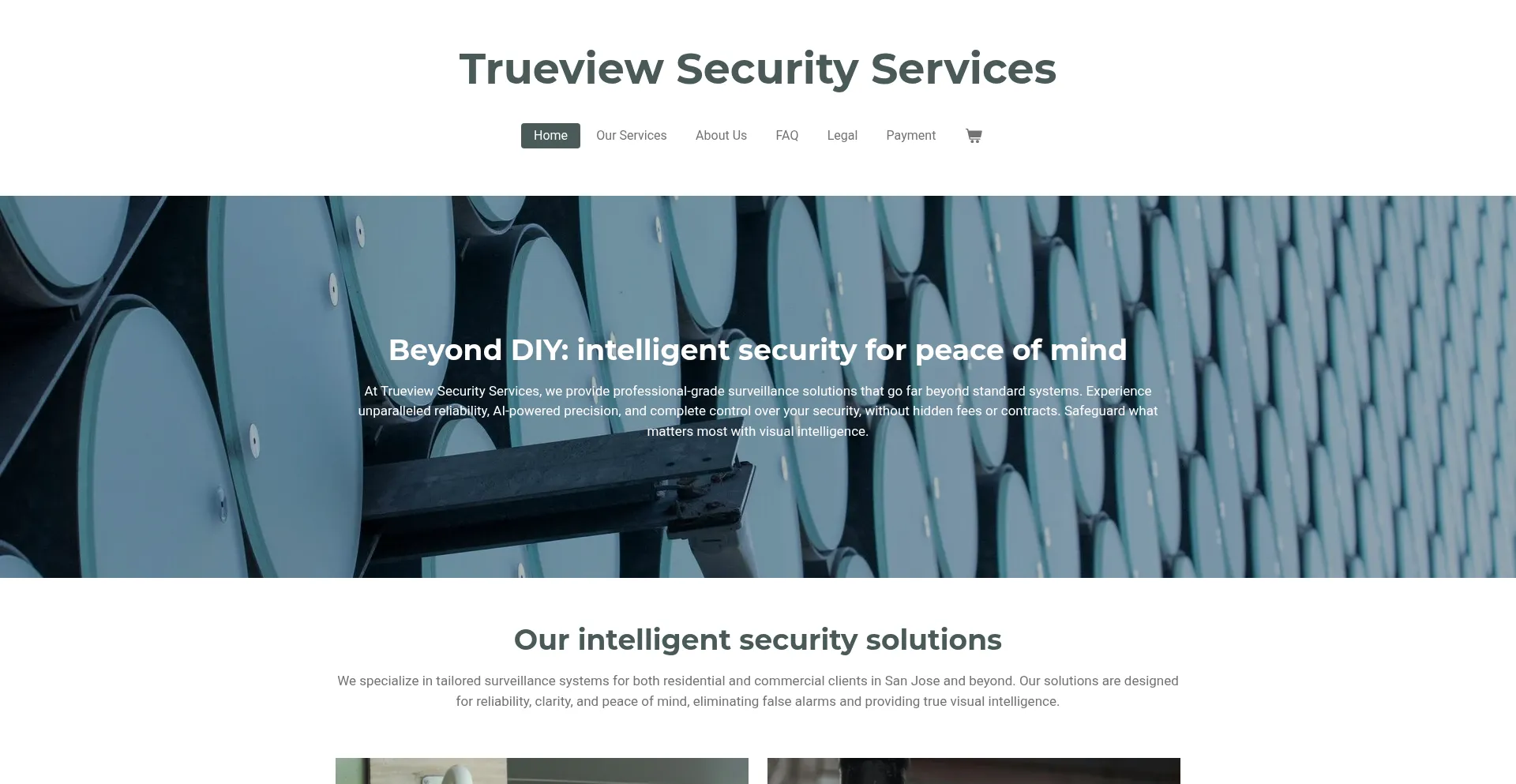 Trueviewsecurityservices.com