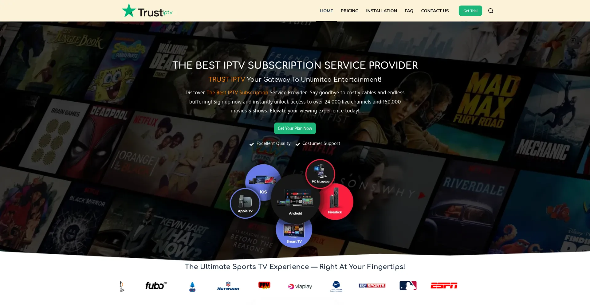 Website screenshot of Trustiptv.net