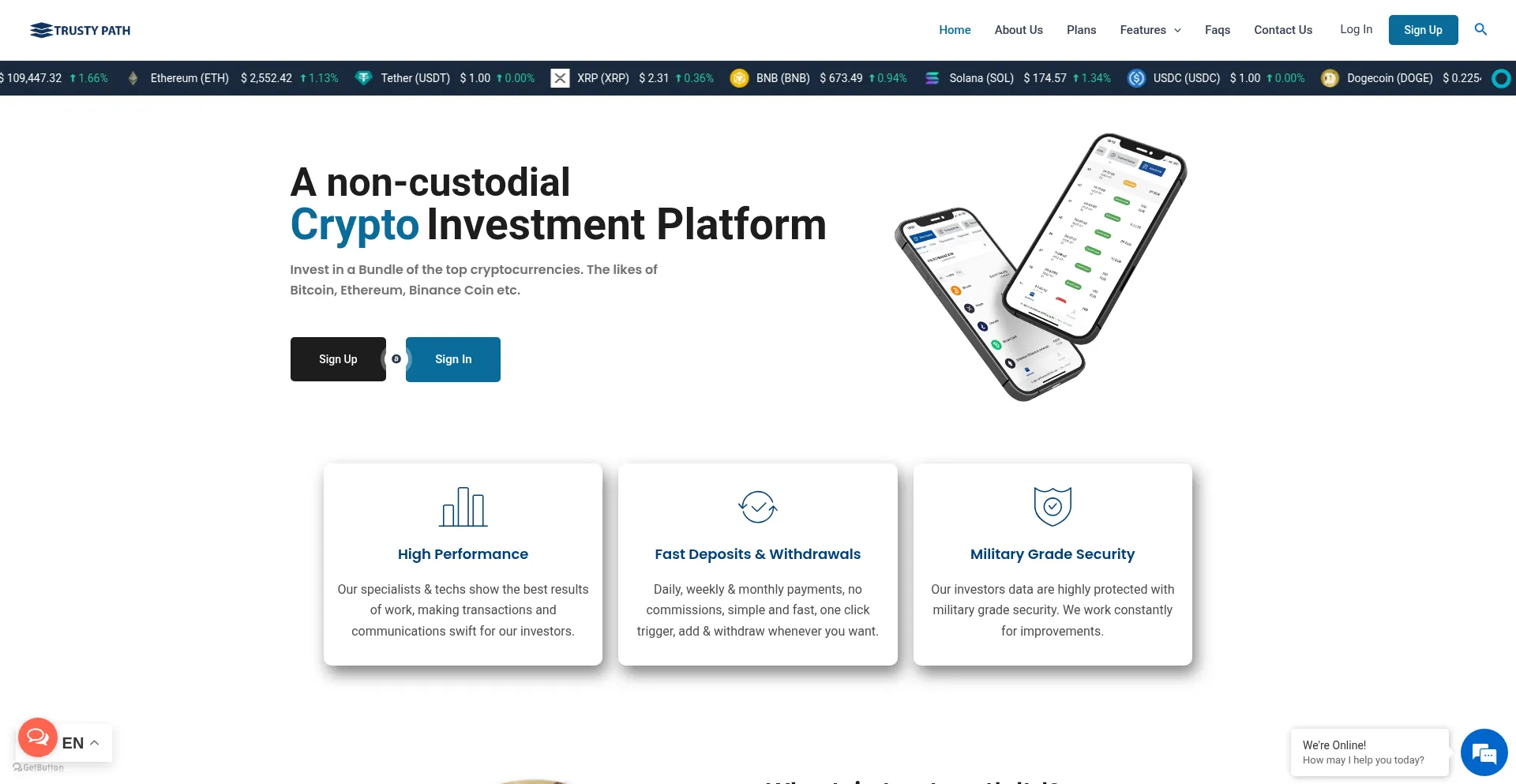 Website screenshot of Trustypath.ltd