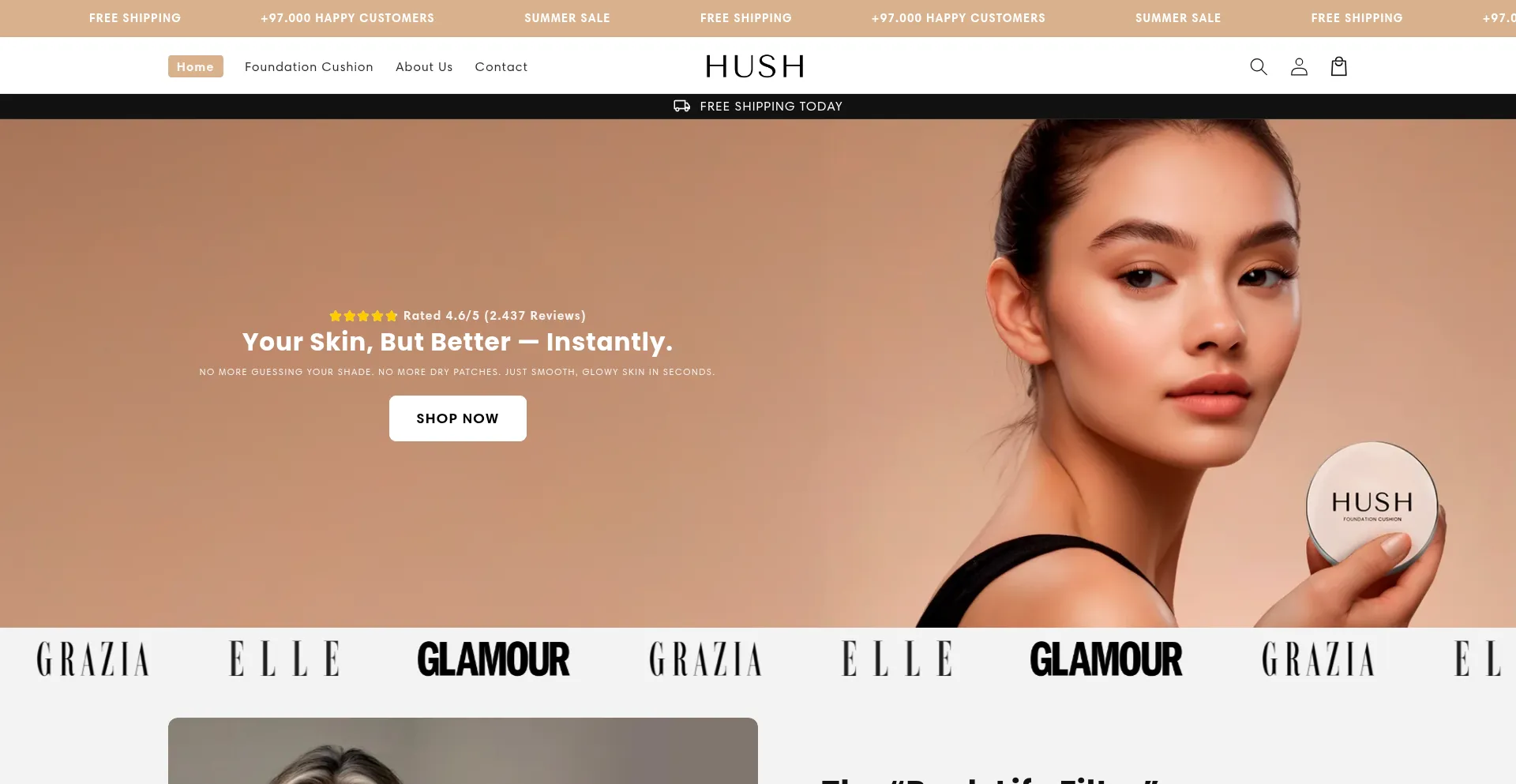 Website screenshot of Try-hush.com