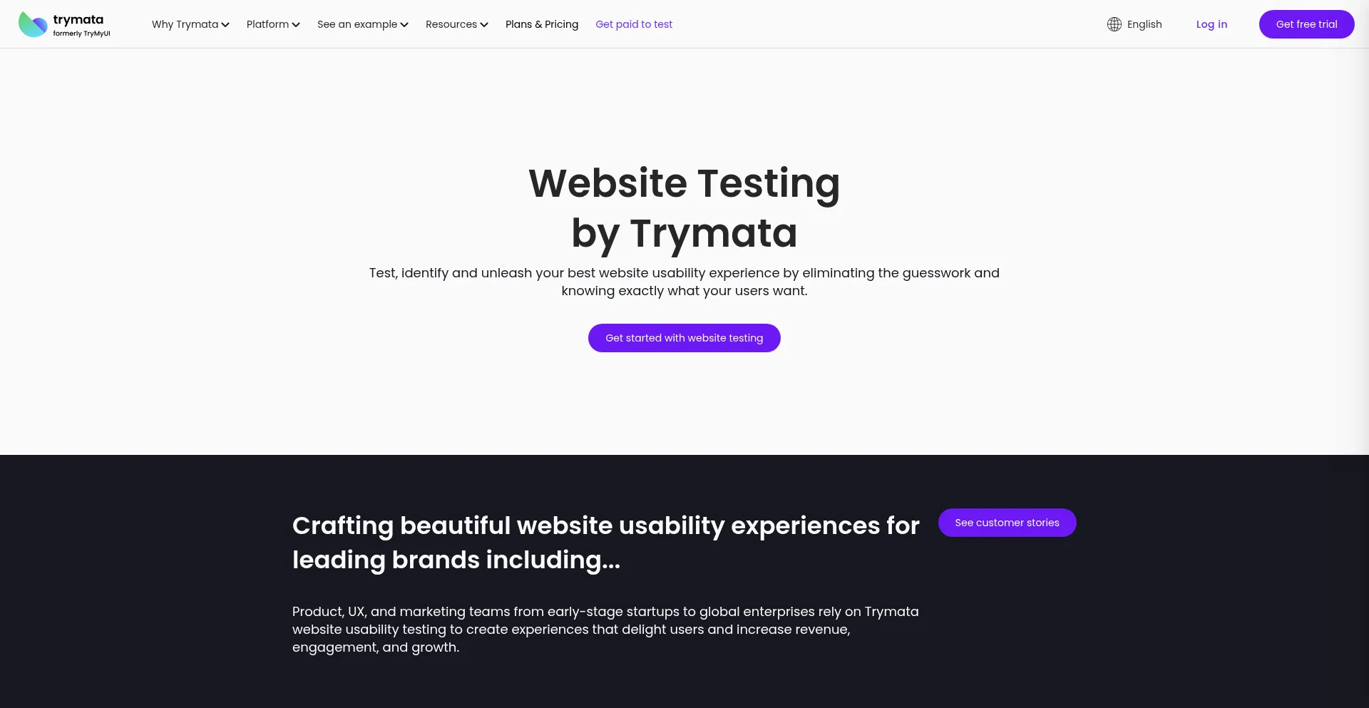 Website screenshot of Trymata.com