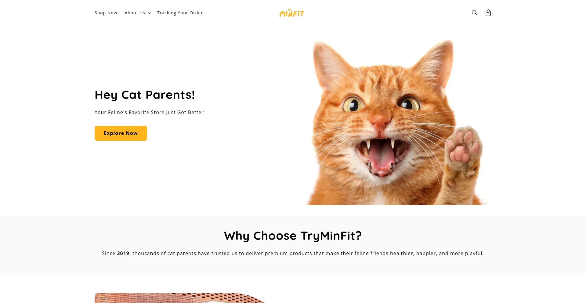 Is Tryminfit.com Safe?