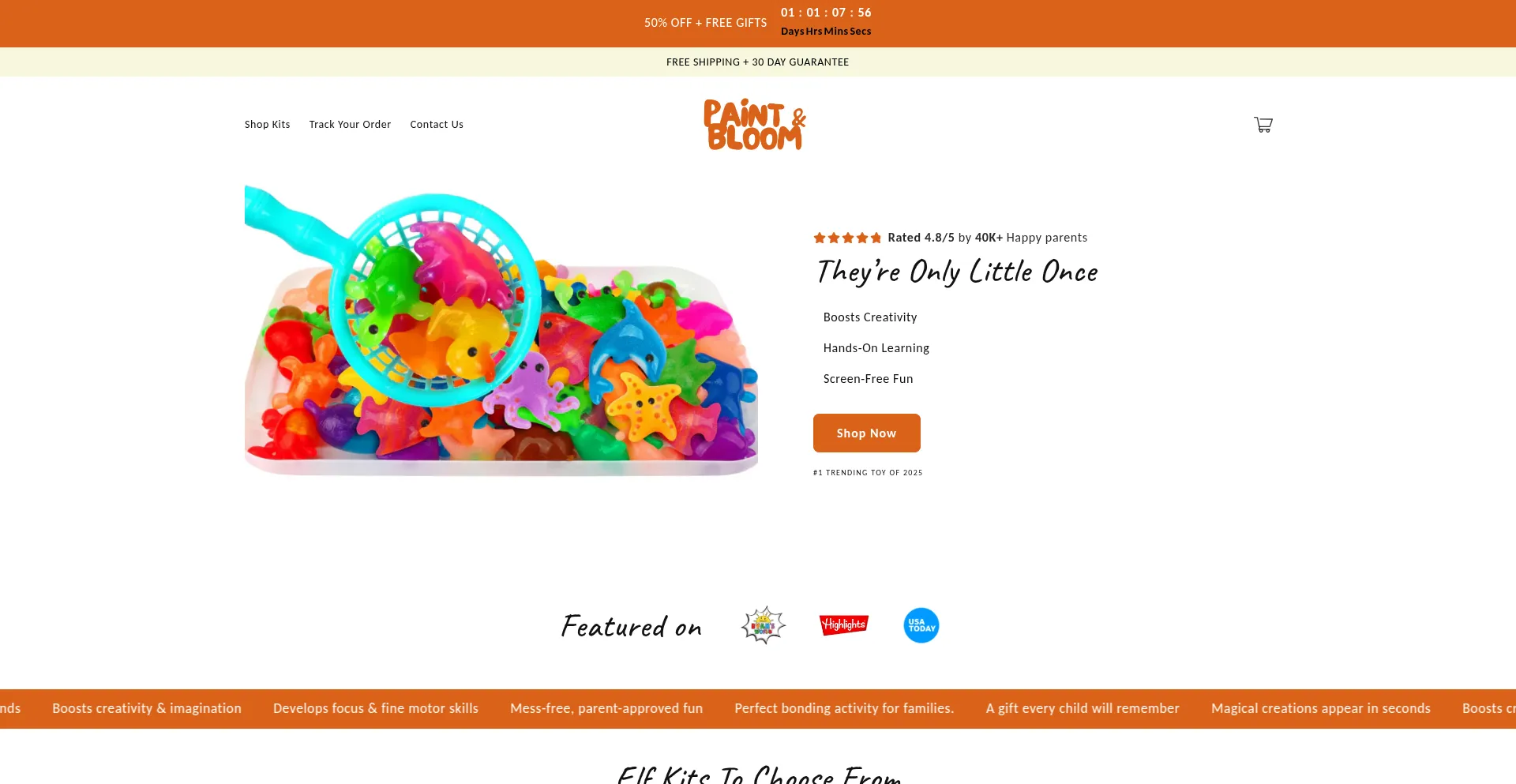 Website screenshot of Trypaintandbloom.com