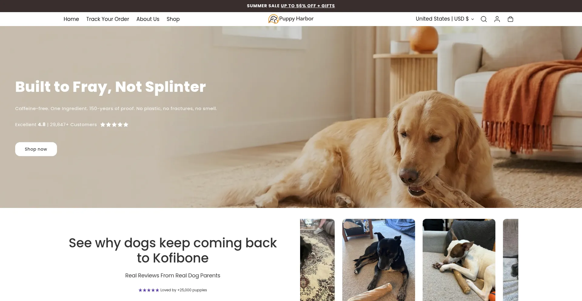 Trypuppyharbor.com