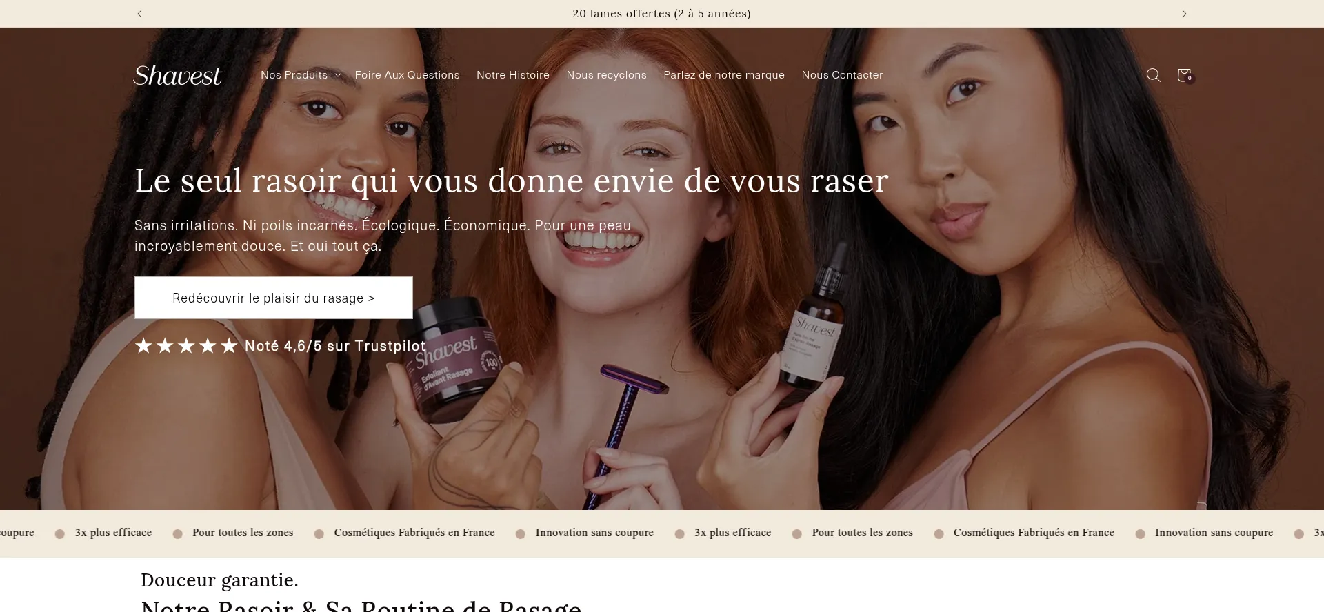 Website screenshot of Tryshavest.com