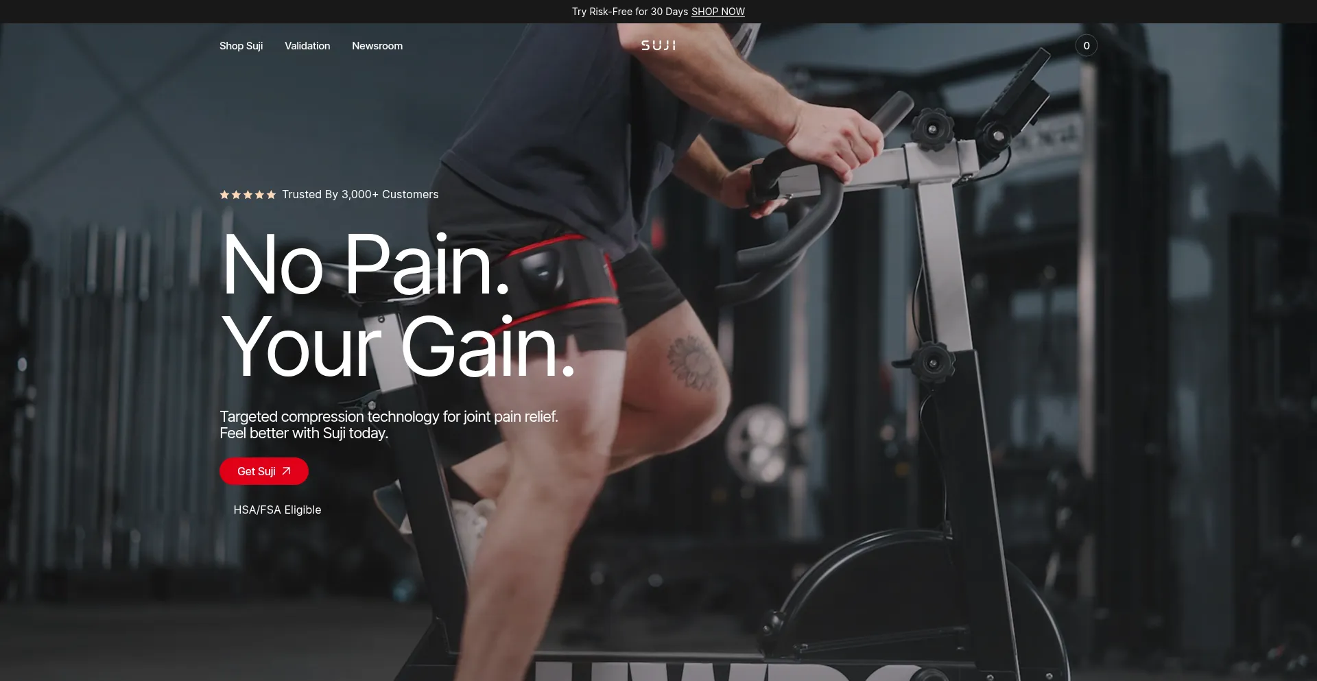 Website screenshot of Trysuji.com