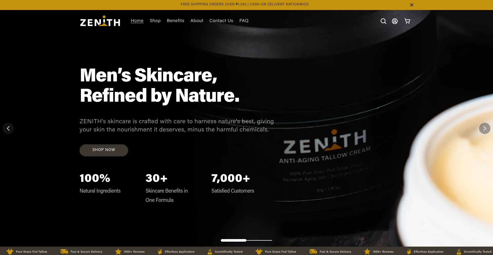 Website screenshot of Tryzenith.ph