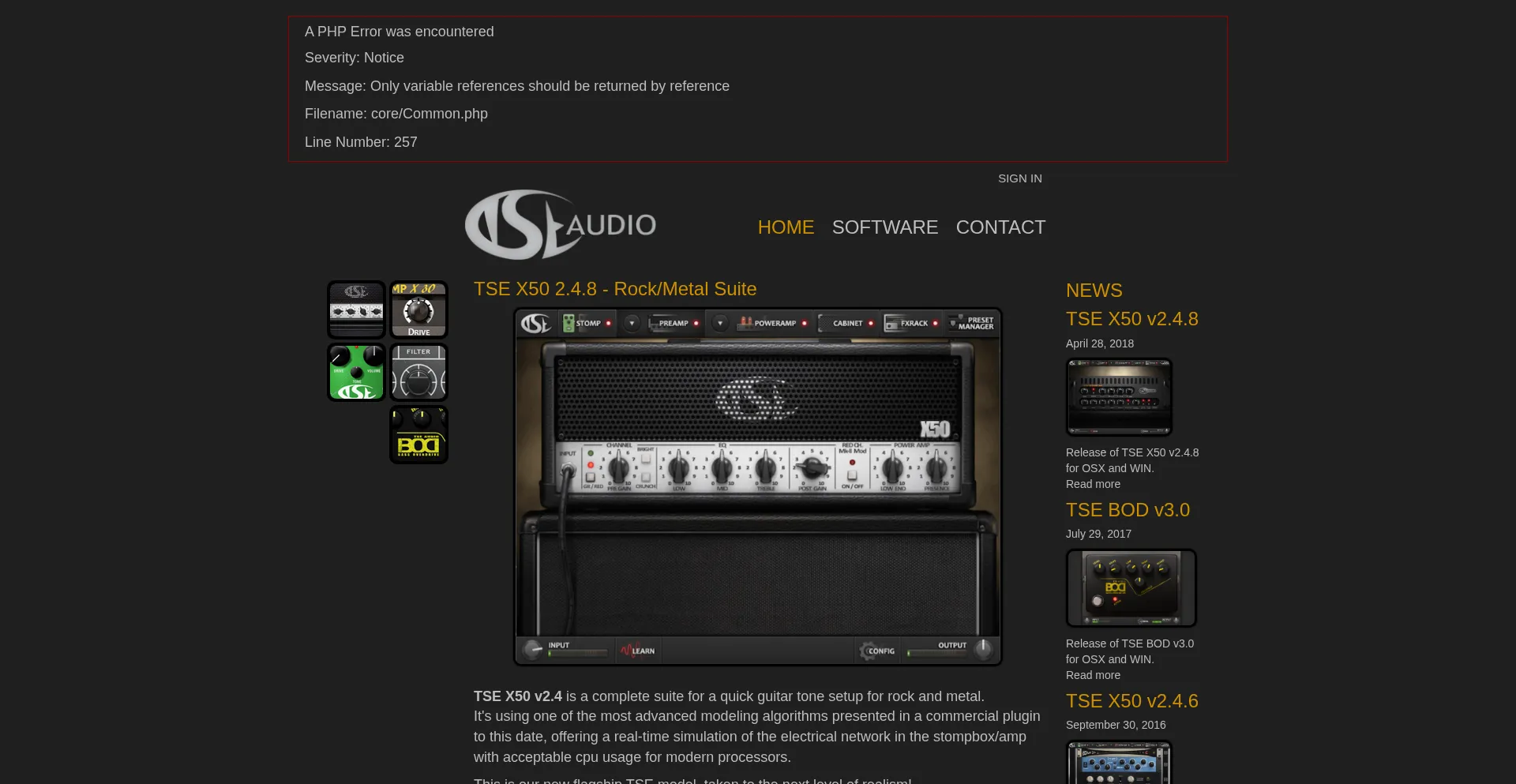 Website screenshot of Tseaudio.com