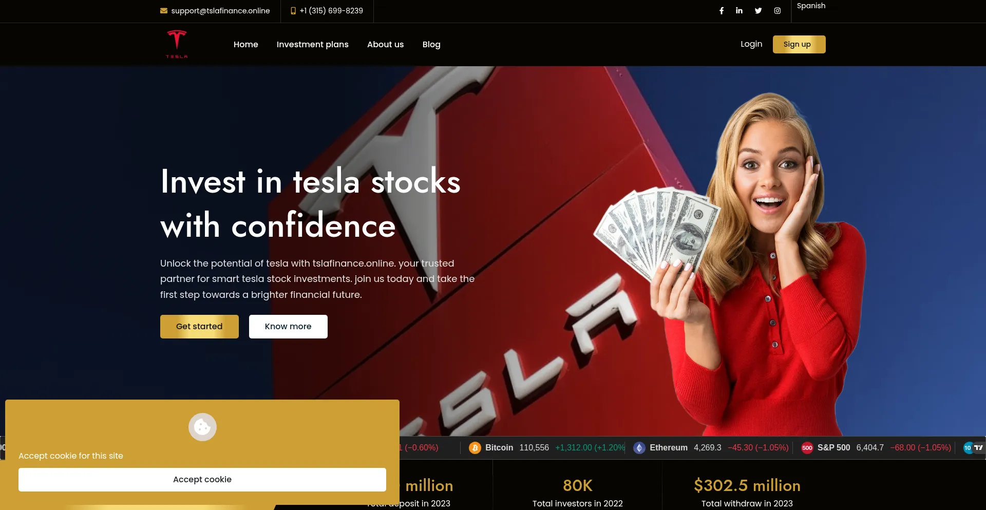 Website screenshot of Tslafinance.online