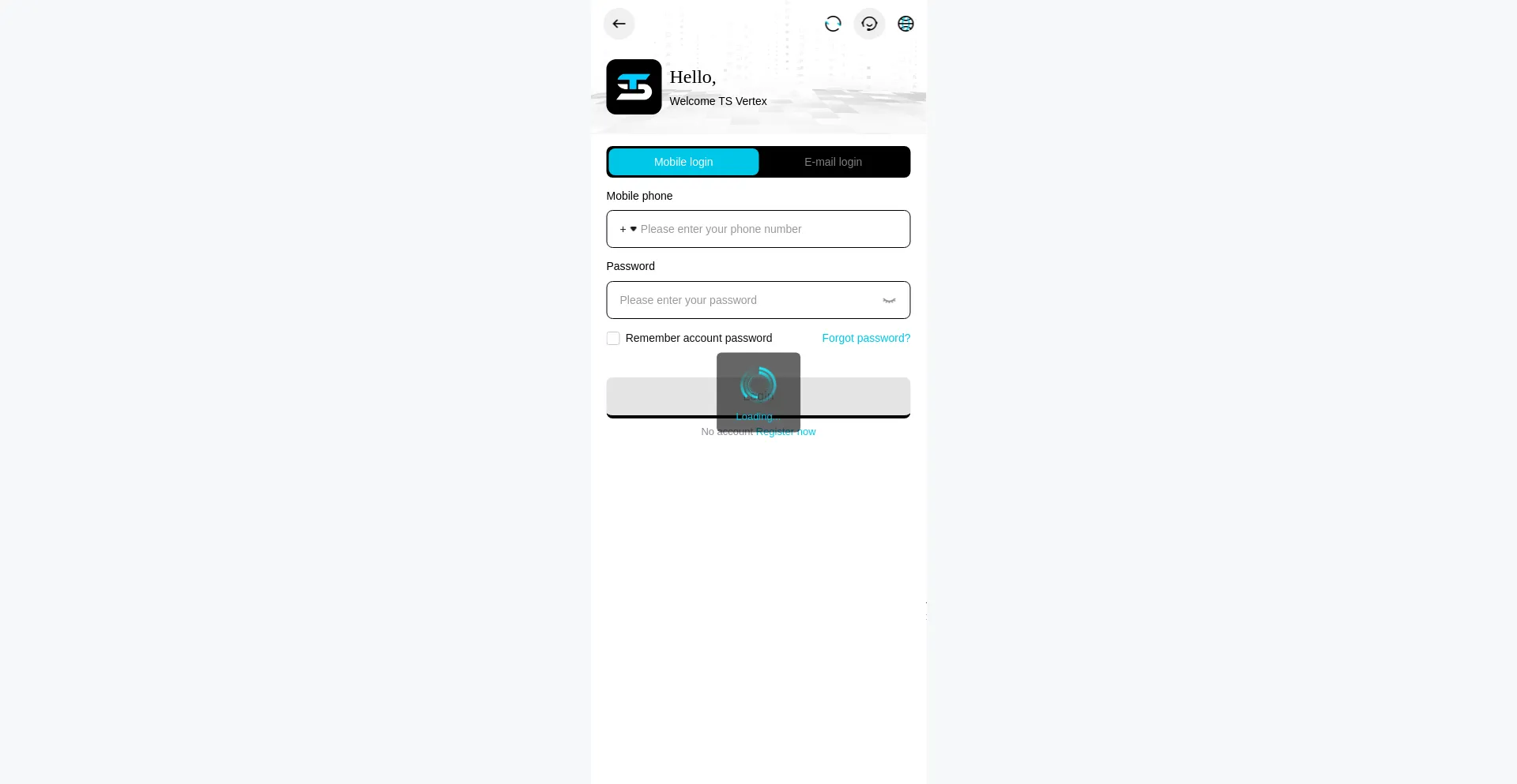 Website screenshot of Tsvertex.com