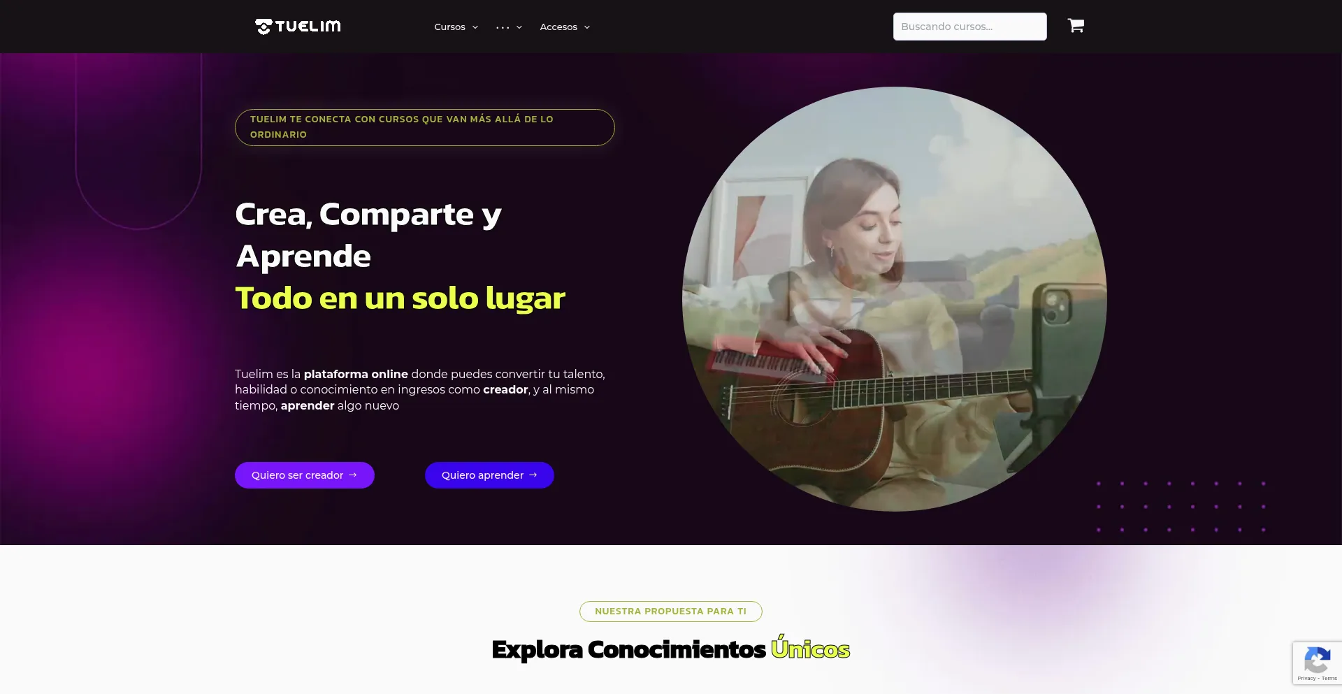 Website screenshot of Tuelim.com