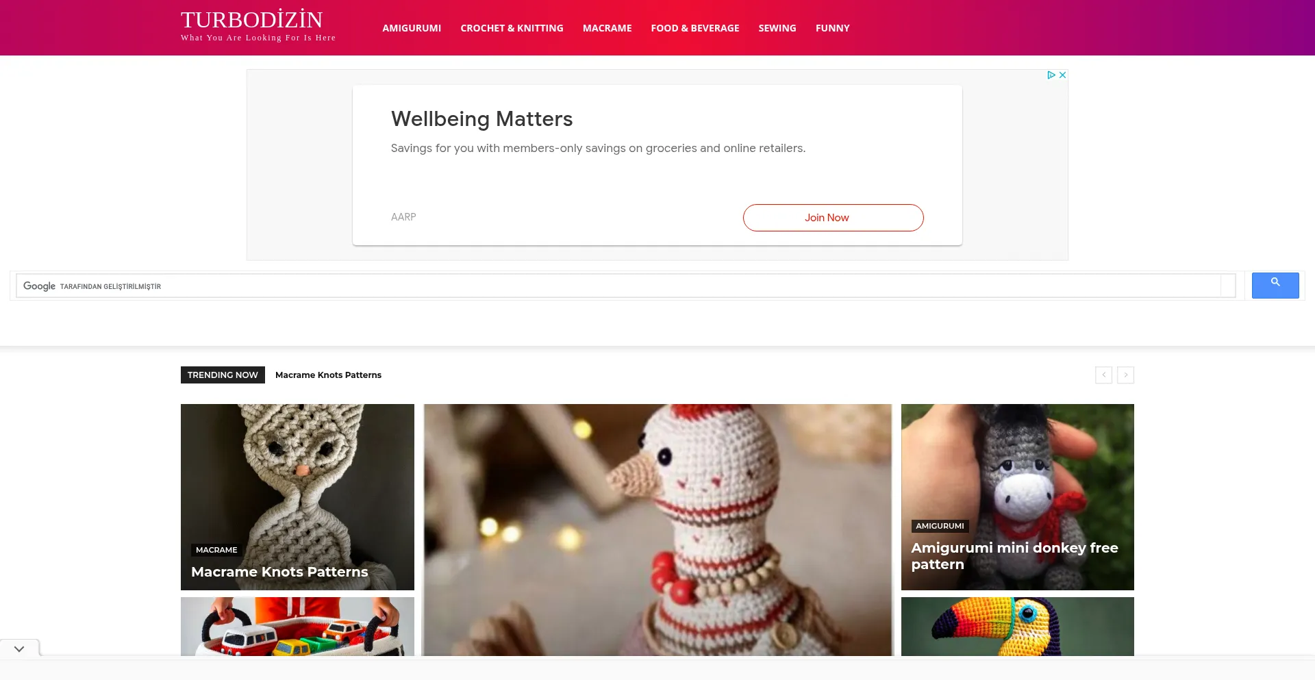 Website screenshot of Turbodizin.com