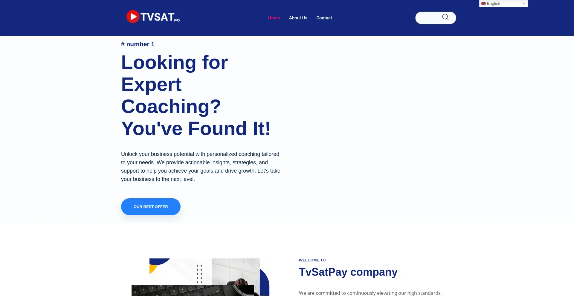 Website screenshot of Tvsatpay.shop