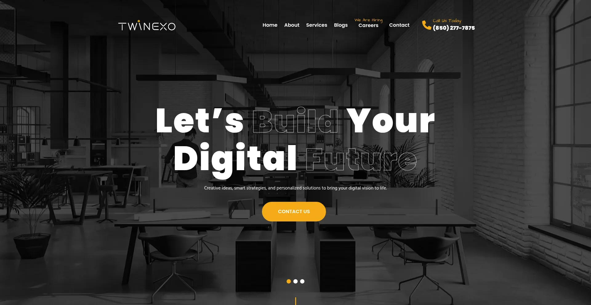 Website screenshot of Twinexo.com