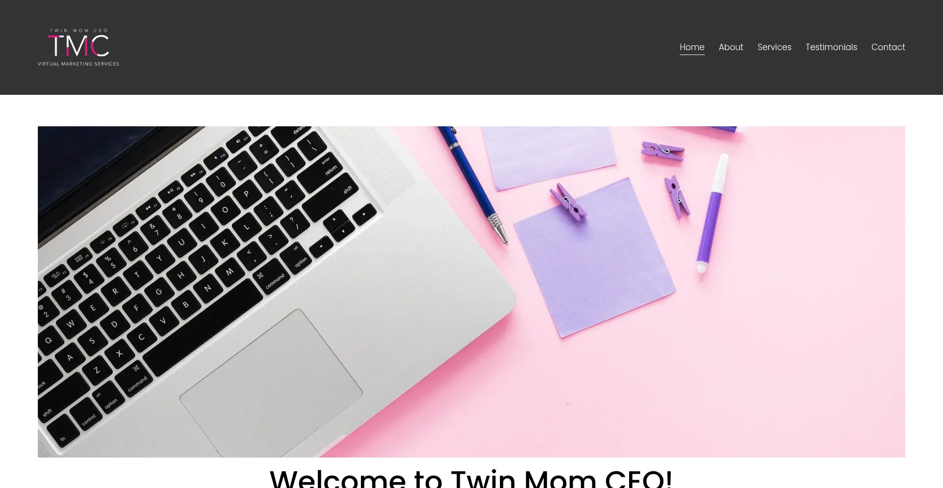 Website screenshot of Twinmomceo.com